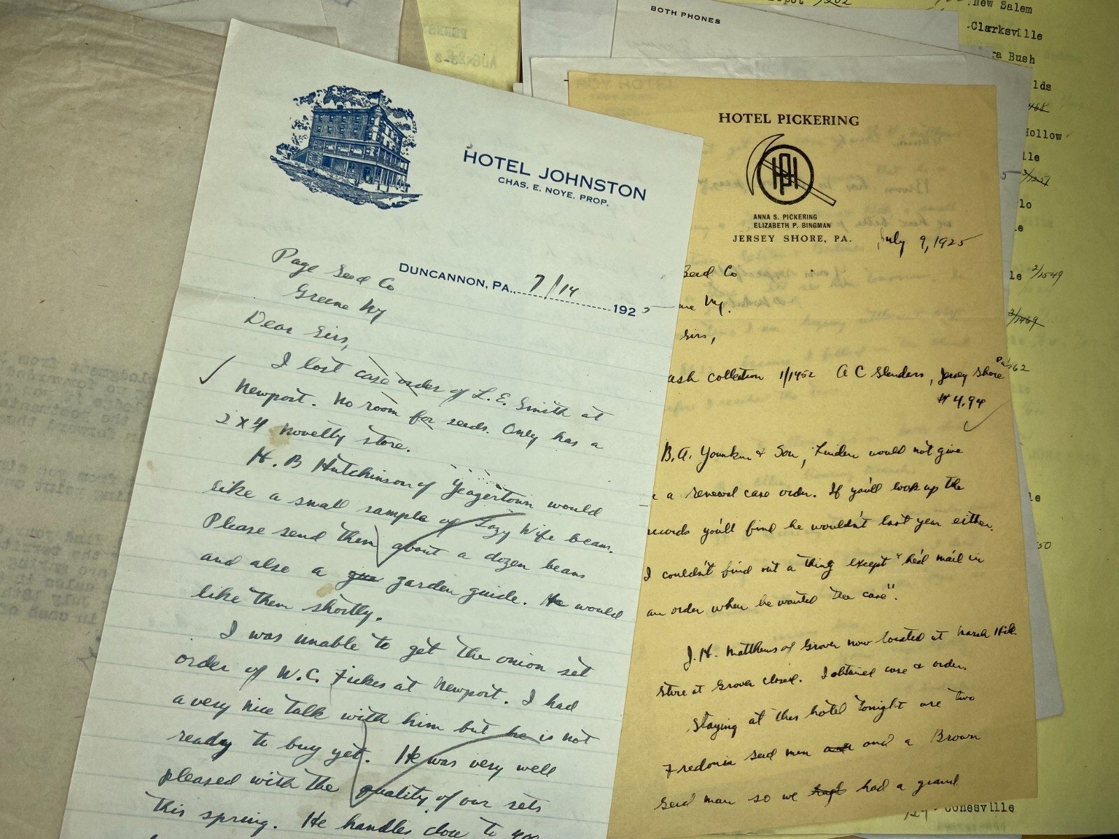 RARE Letter Archive - Traveling Salesman - Page Seed Co Greene, NY 1925 NY, PA,