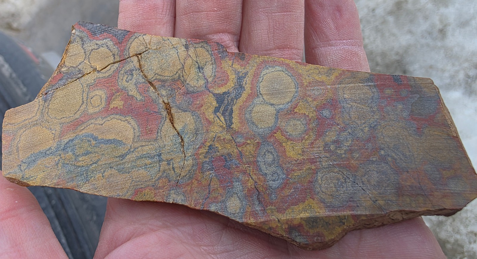 Morgan Hill Poppy Jasper Slab 87 Grams 4 3/4" Long