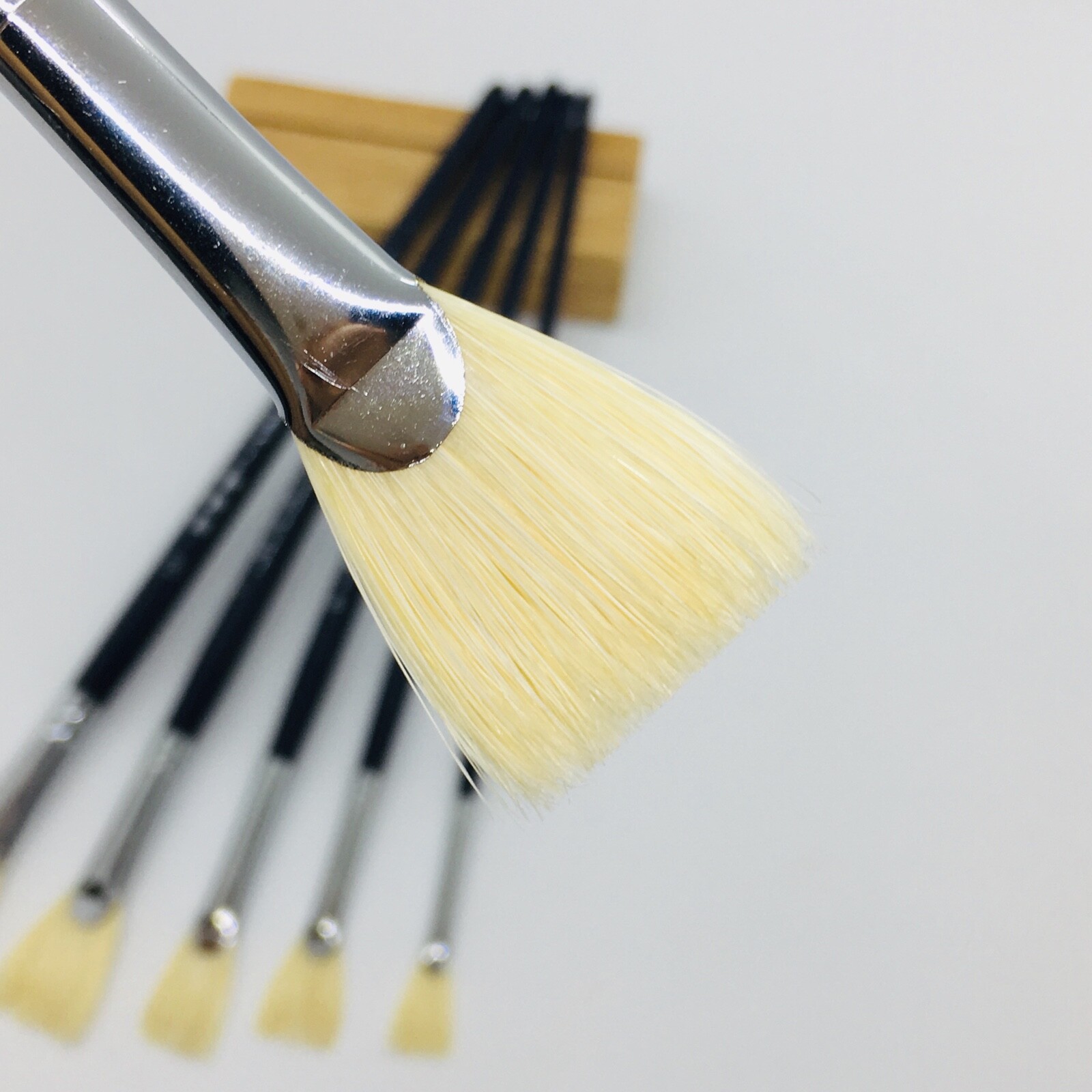 XDT#616-1 Fan Art Brush Set 6Pc #2#4#6#8#10#12 Hog Acrylic Oil Watercolor