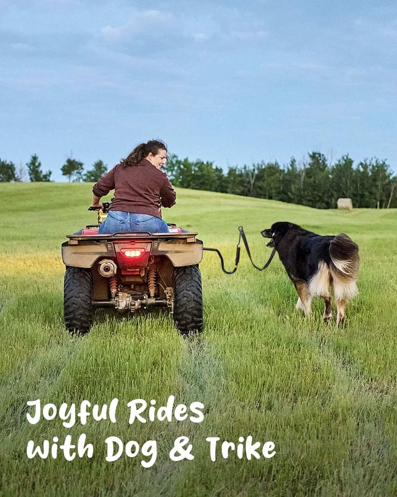 iPetba Dog Bike Leash - Hands-Free Bike Attachment for Dogs,Black