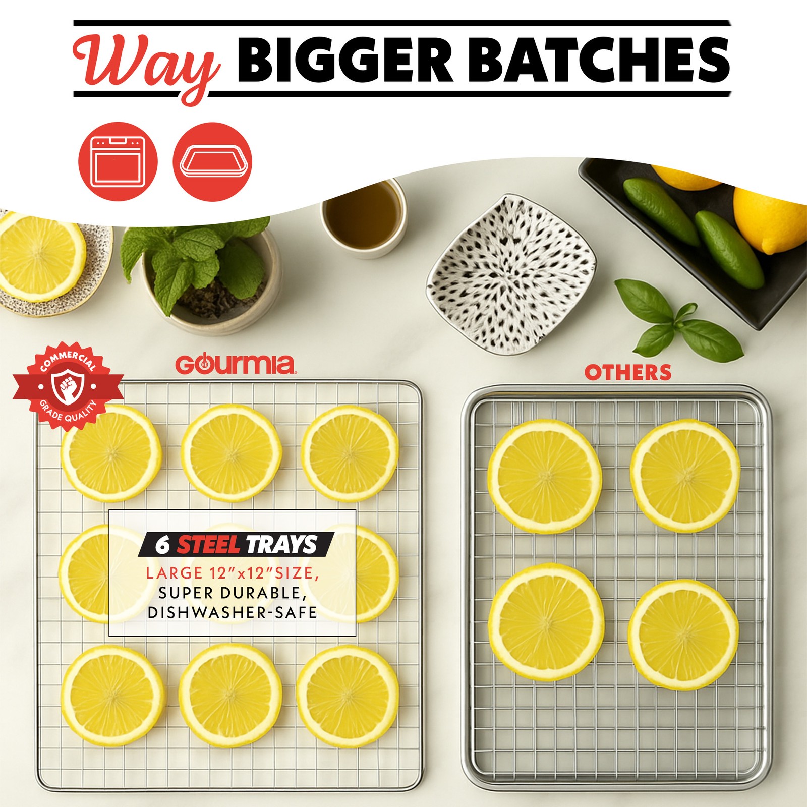 Gourmia 6 Tray Digital Food Dehydrator, Stainless Steel, Timer, Glass Door