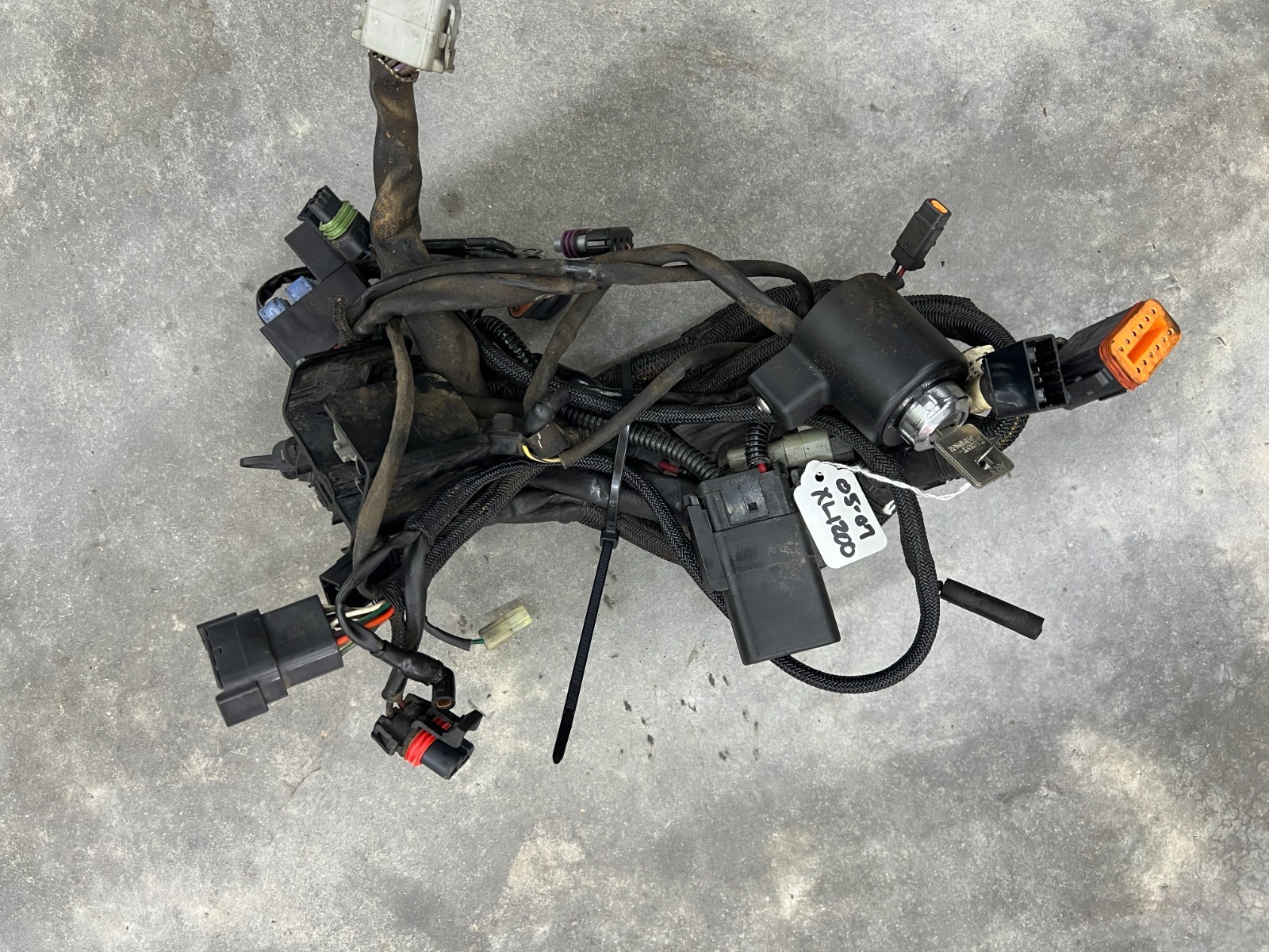 Genuine Harley Davidson Sportster XL1200C Main Wire Harness Loom OEM 2004-2009