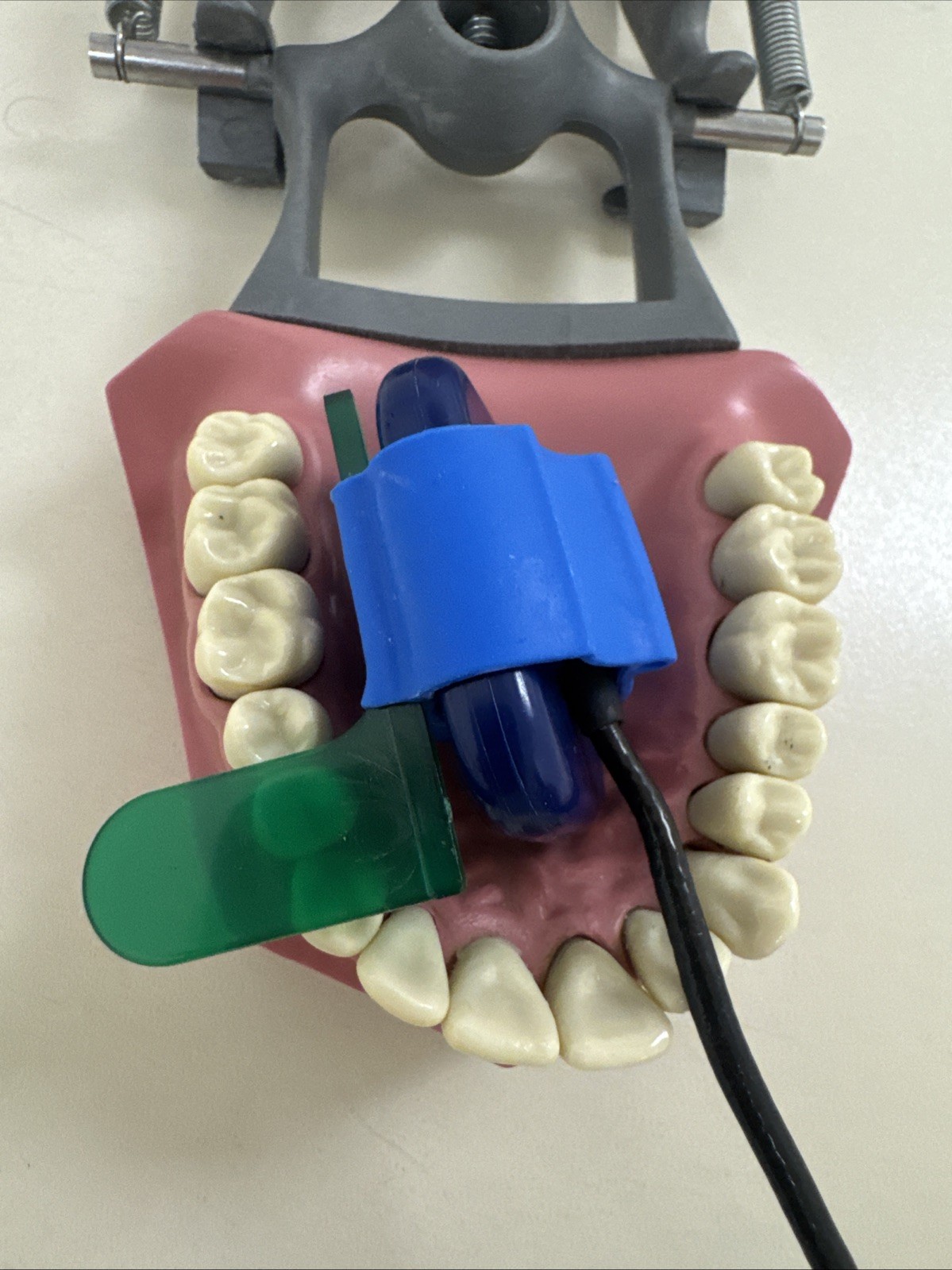 5 pcs Autoclavable - Apical/Bitewing Adult Digital Sensor Positioner-Holder