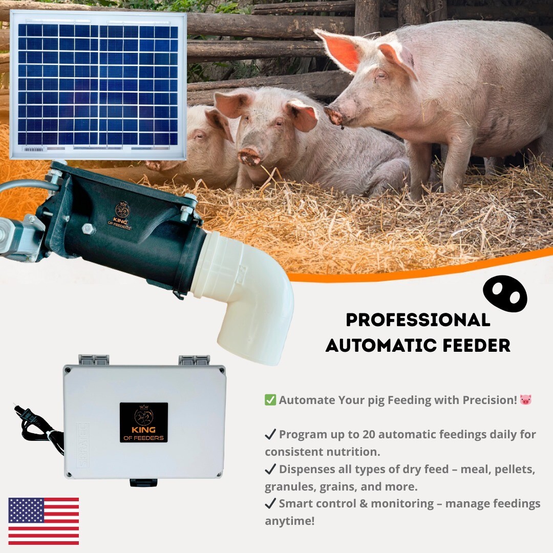Solar Automatic Feeder, Food Dispenser for Pigs