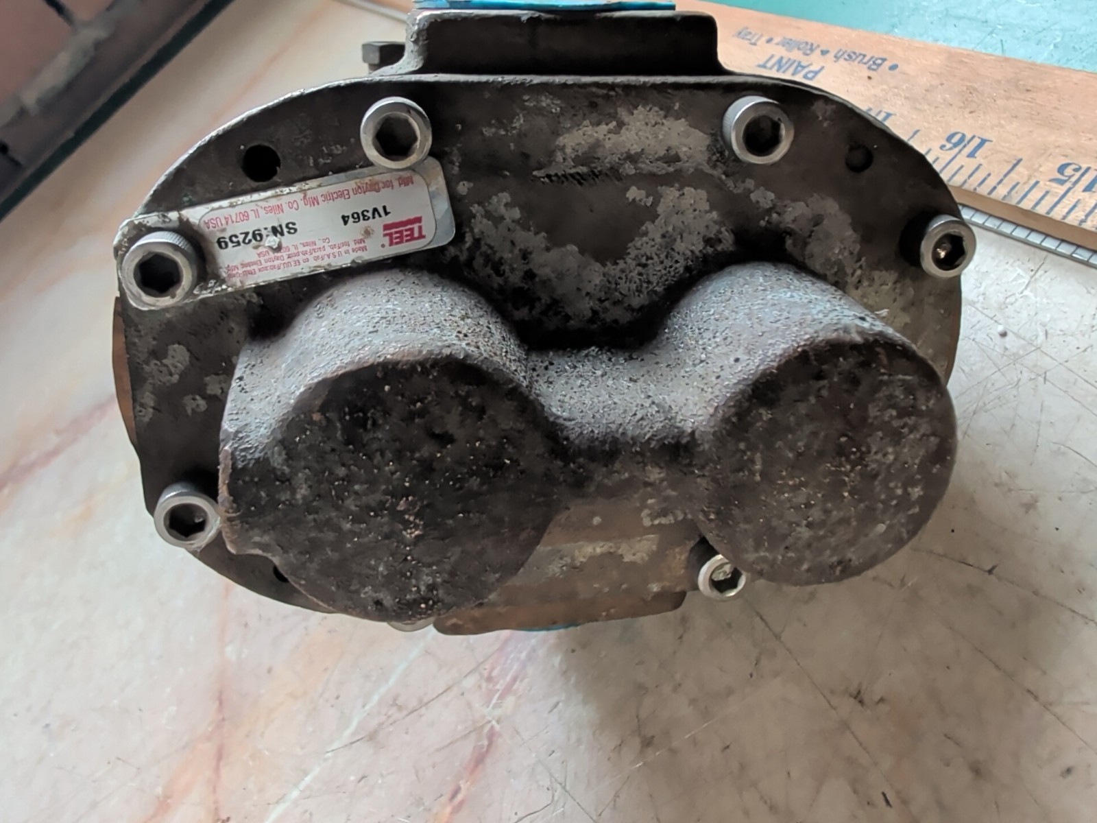 DAYTON TEEL 1V364 BRONZE & CAST IRON CLOSE COUPLED GEAR PUMP - NEW (OLD STOCK)