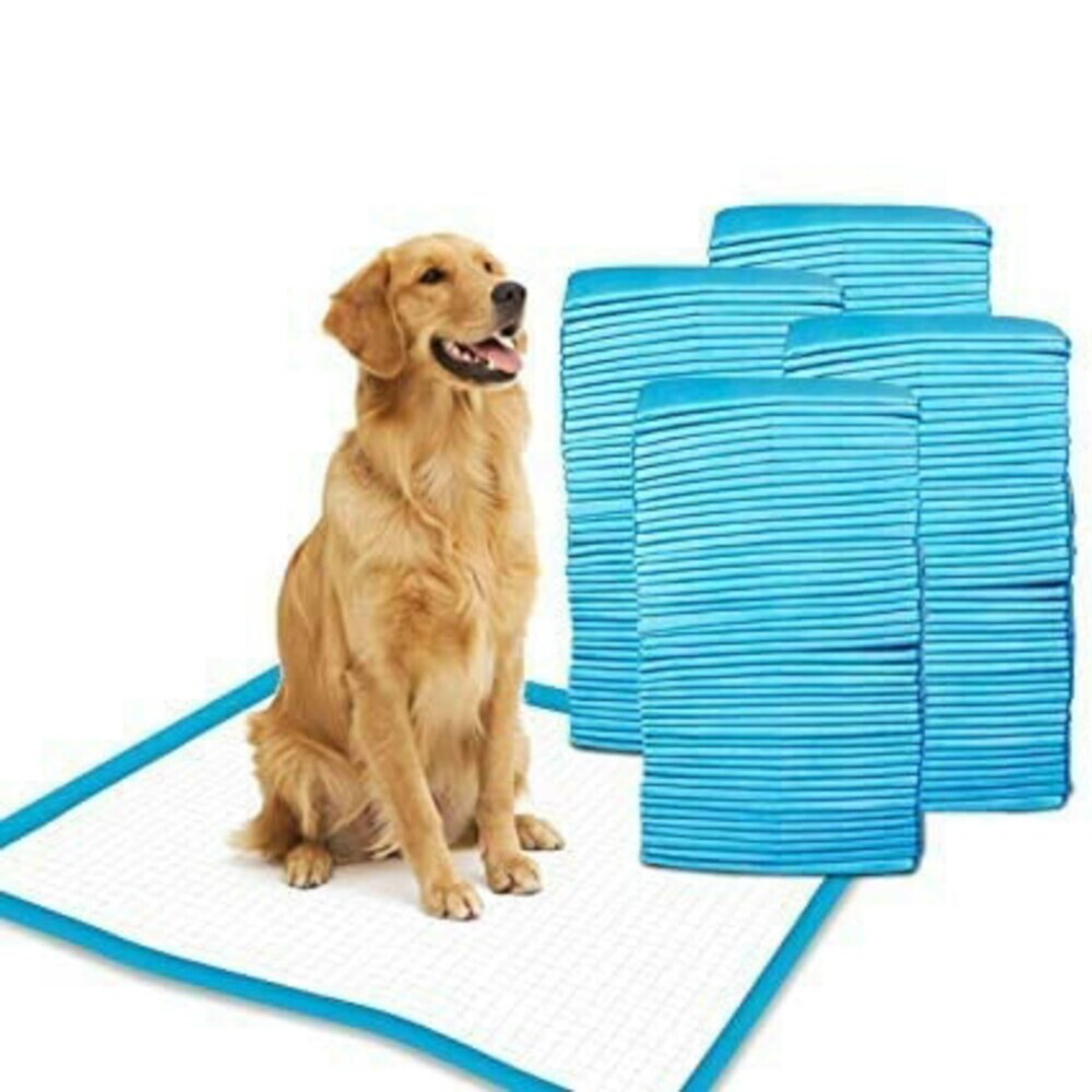 100 Pet Training Pads for Dogs 36x36" Unscented Ultra-Absorbent 2XL Potty Pads