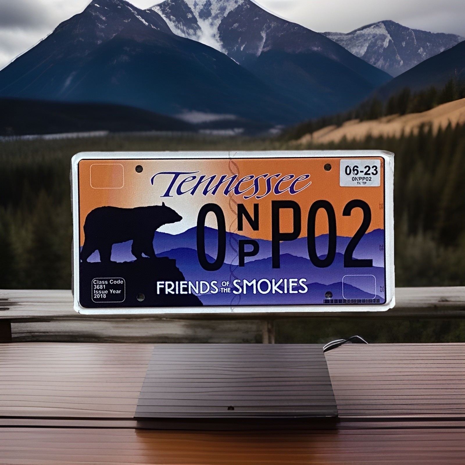 2021 Tennessee Friends of the Smokies Black Bear Wildlife License Plate