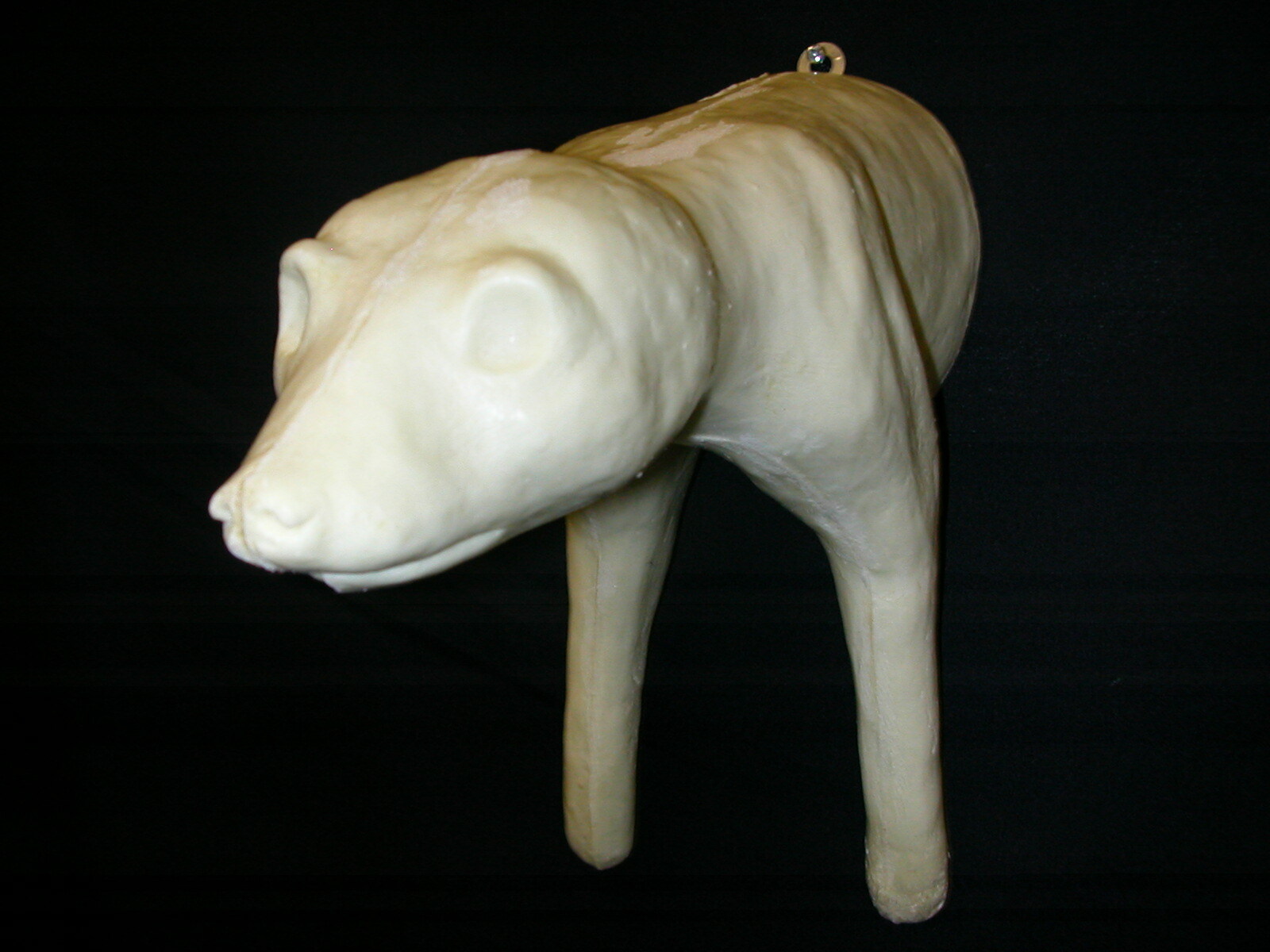 Taxidermy Form Half Raccoon Climbing Down 1 3/4 X 8 1/2 X 14