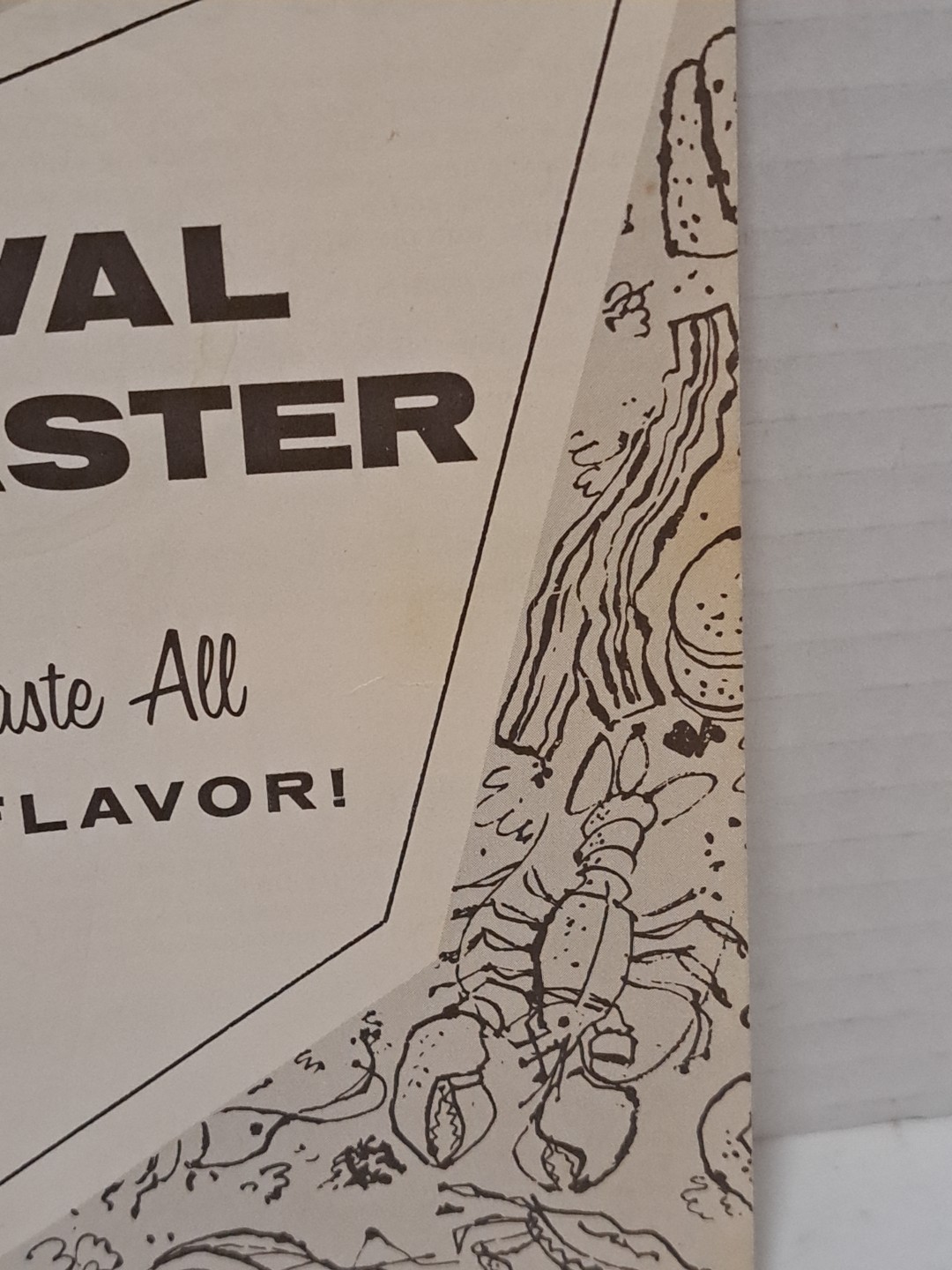 Vintage 1970 Nesco Oval Roaster Instruction Manual And Recipes