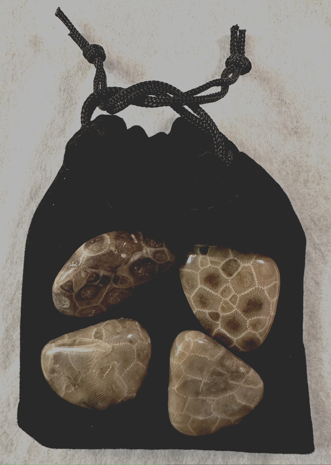 ***GREAT PRICE*** A SET OF 4 PETOSKEY STONES - BELOW RETAIL PLUS FREE SHIPPING!