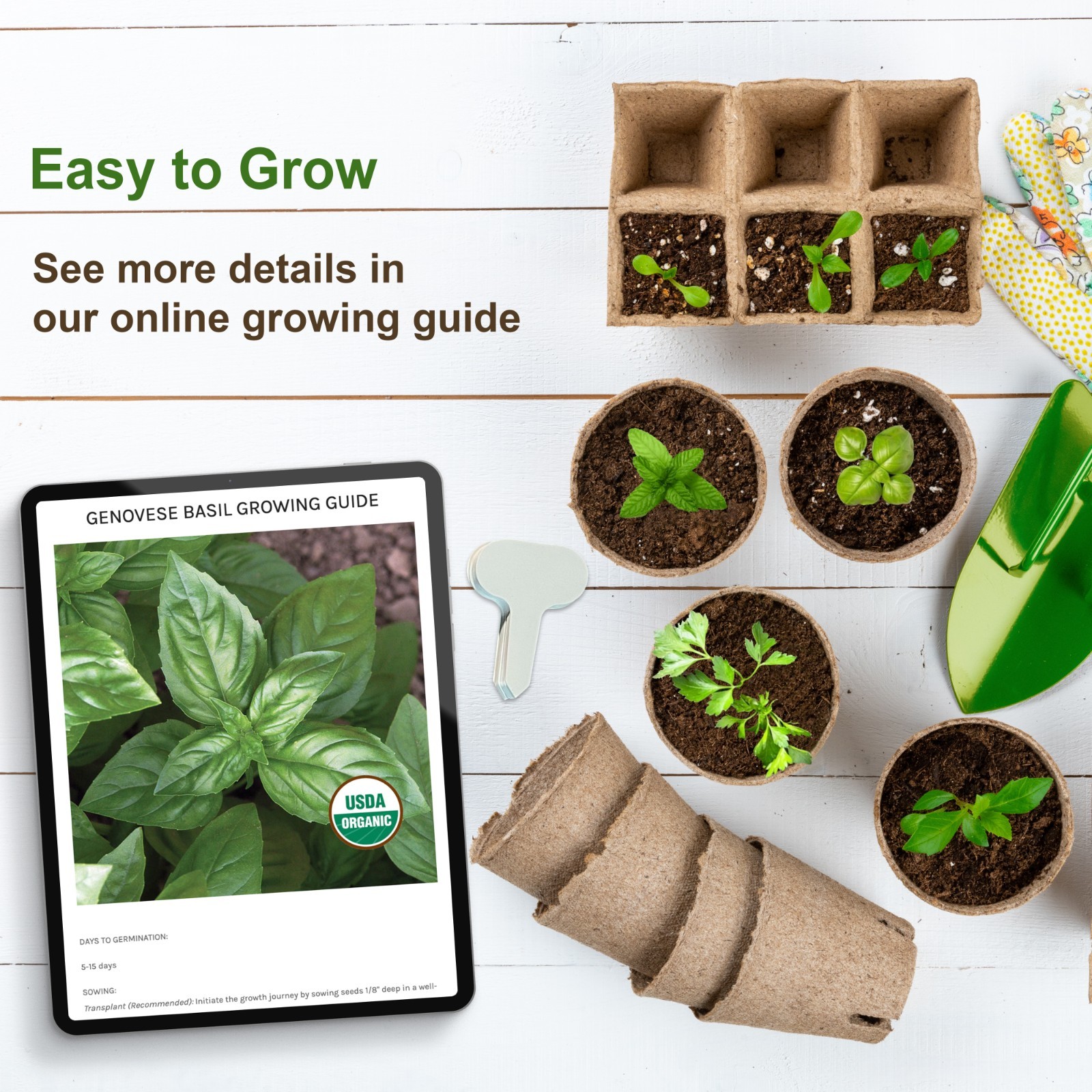 Heirloom Vegetable Seeds Survival Garden Kit - Over 18,000 Seeds, 39 Varieties