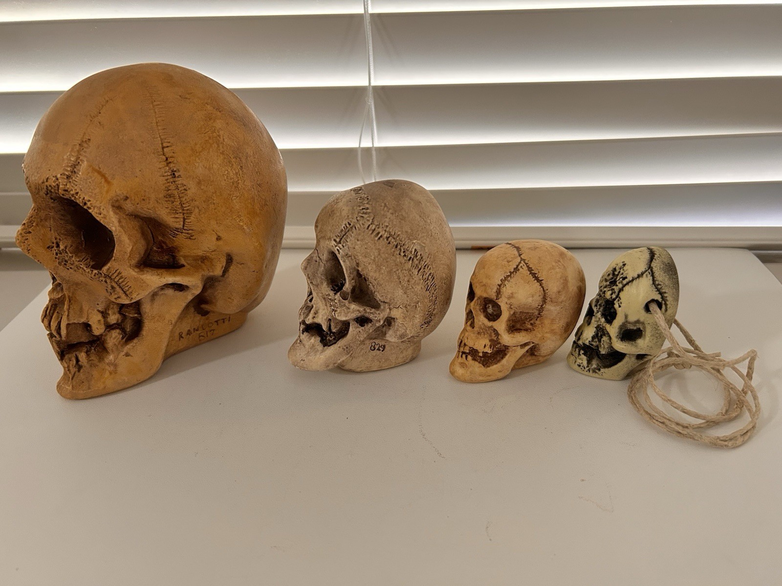 4 EA. RANDOTTI ORIGINALS LARGE, MEDIUM, PIXIE,& FLAT BACK PIXIE SKULLS ALL GLOW