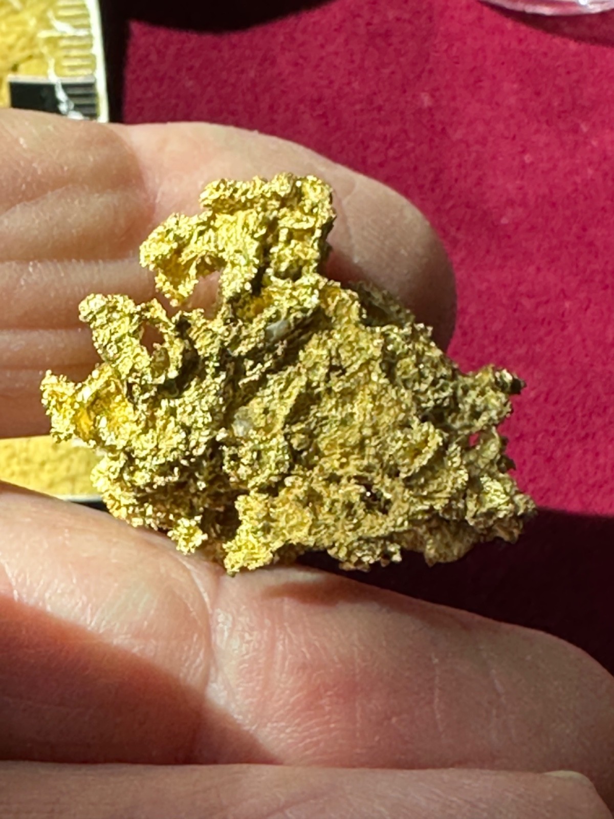 California Crystalline Gold specimen 22.2 grams