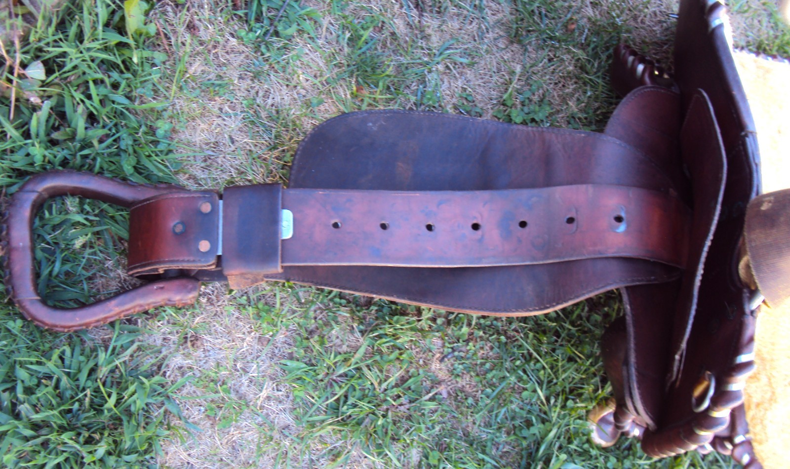 CIRCLE Y Western Show Saddle - 15" - SILVER CONCHOS - Padded Seat - BEAUTIFUL!