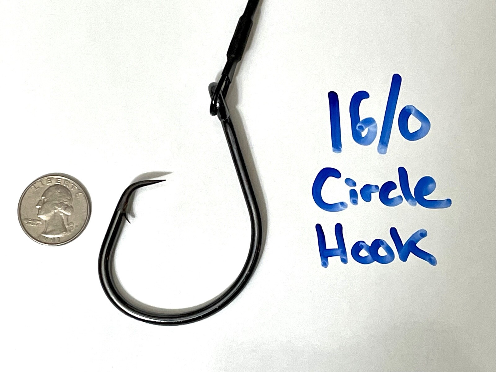 The Shark Rig -6 ft Castable Shark Fishing Leader -16/0 Circle Hook Surf Fishing