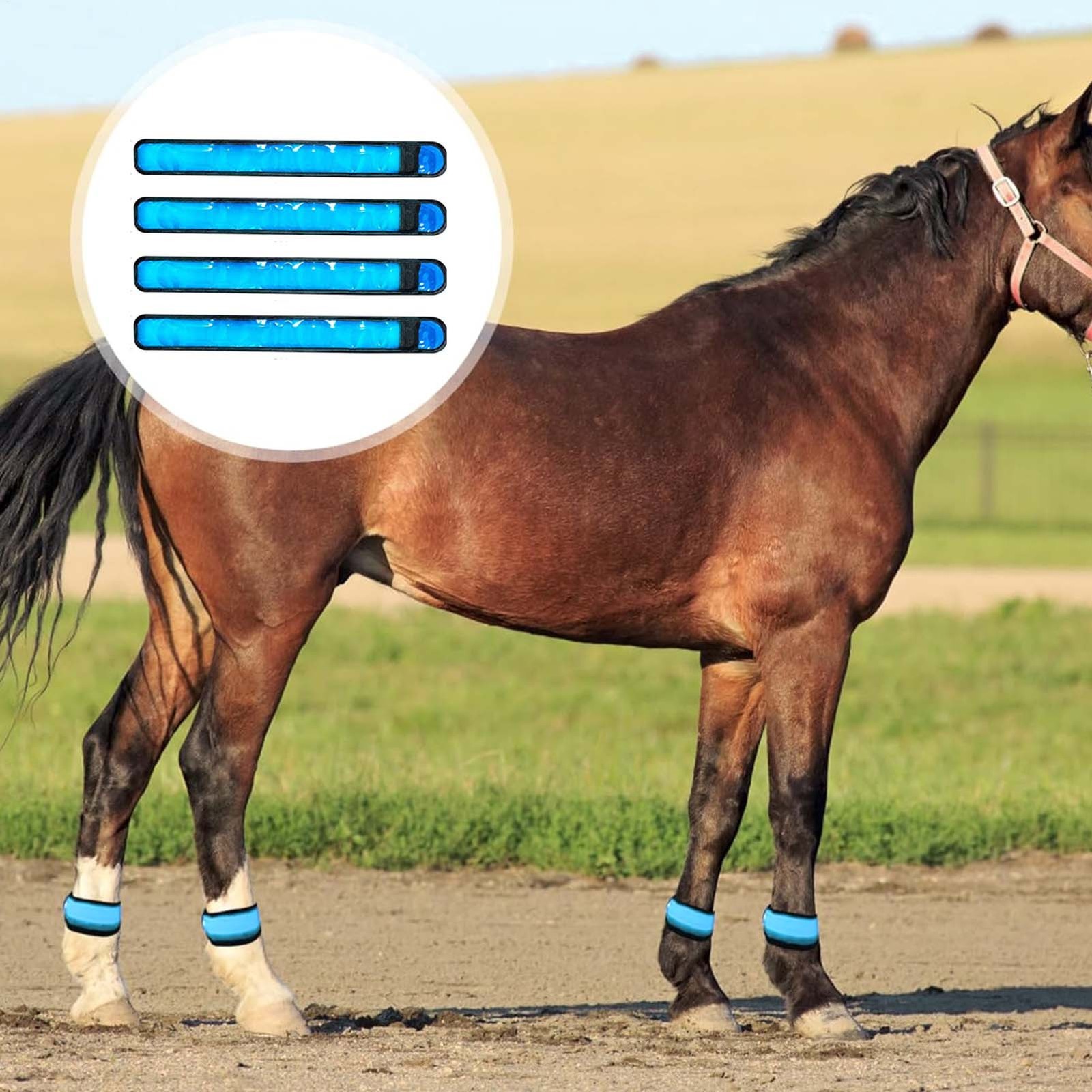 4pcs LED Horse Leg Band Reflective Animals Foot Wraps