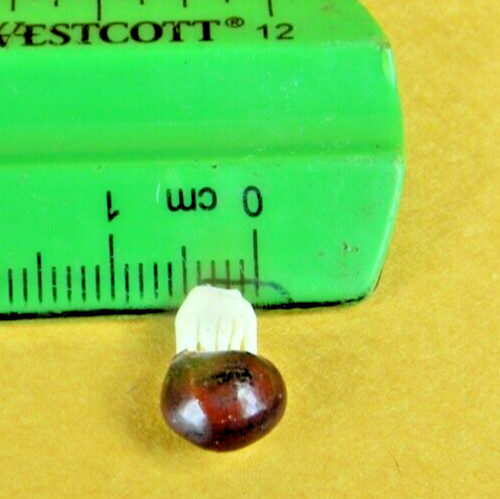 Lot of 4 -  Lucky Elephant Seed Bean 6 Tiny "Carved" Elephants Inside Vintage