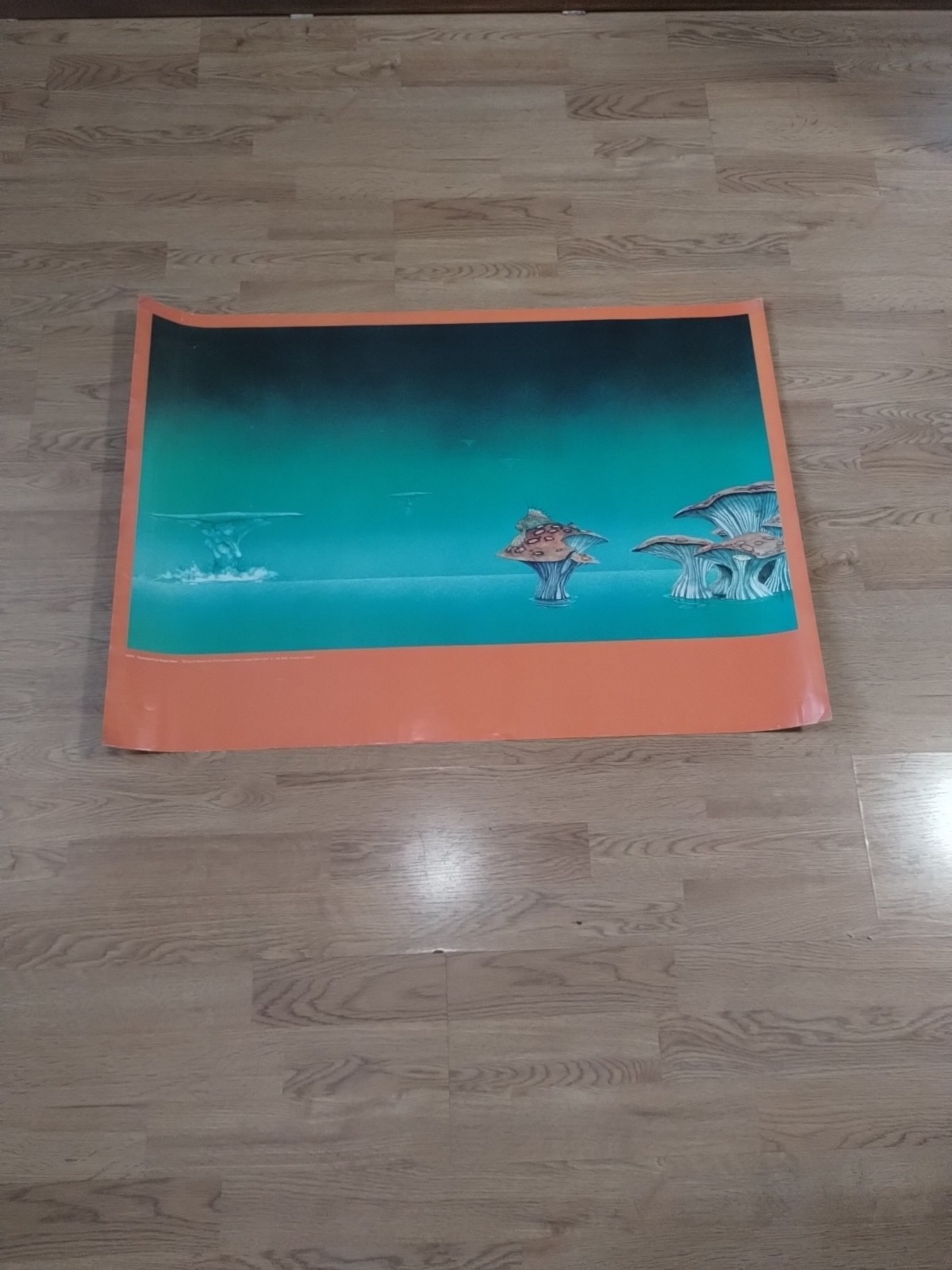 RARE 1973 Fish Yessongs 4 Roger Dean Cover Art Big-O Poster England Psychedelic