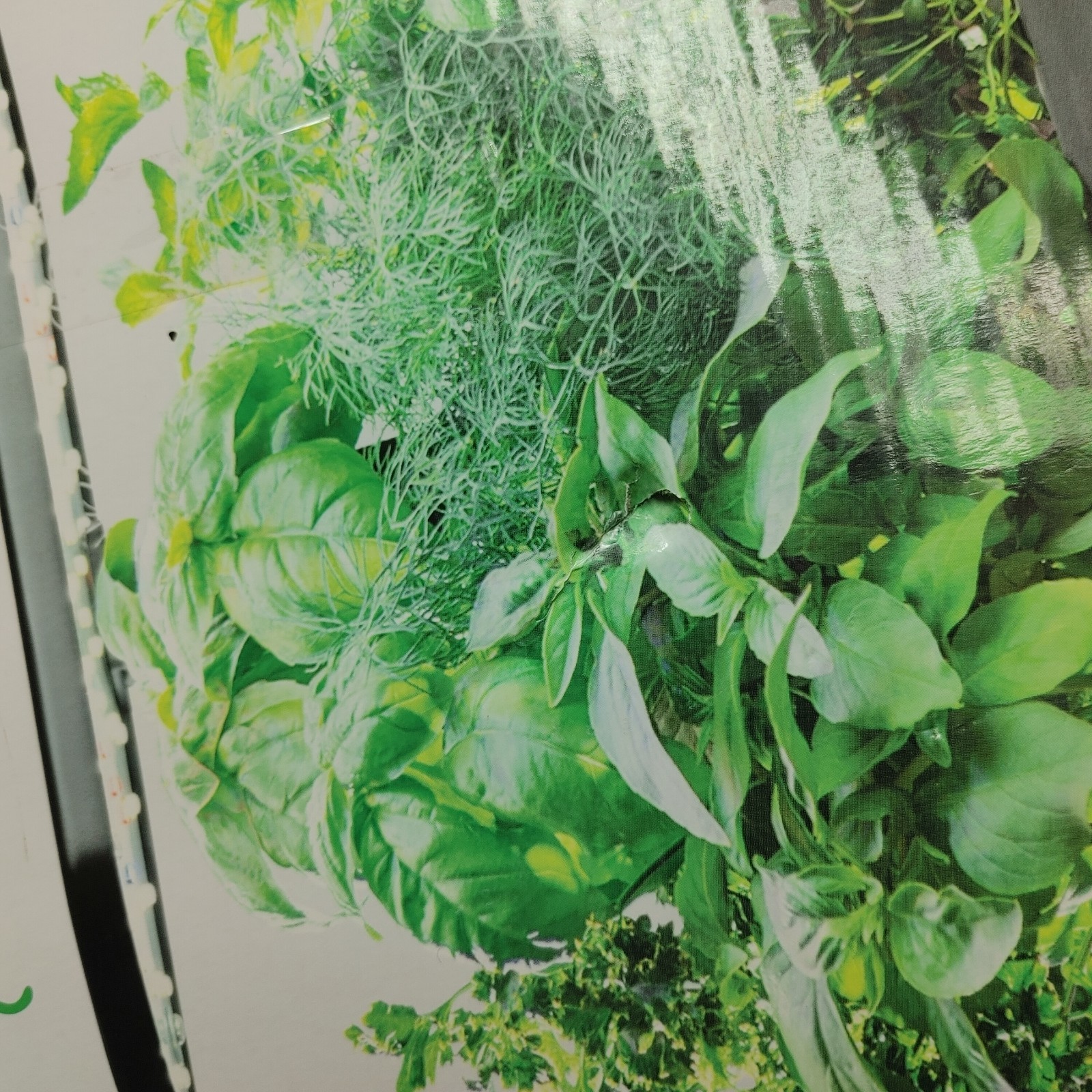 Aerogarden In-Home Garden System Harvest 6 Pods (Opened Box)