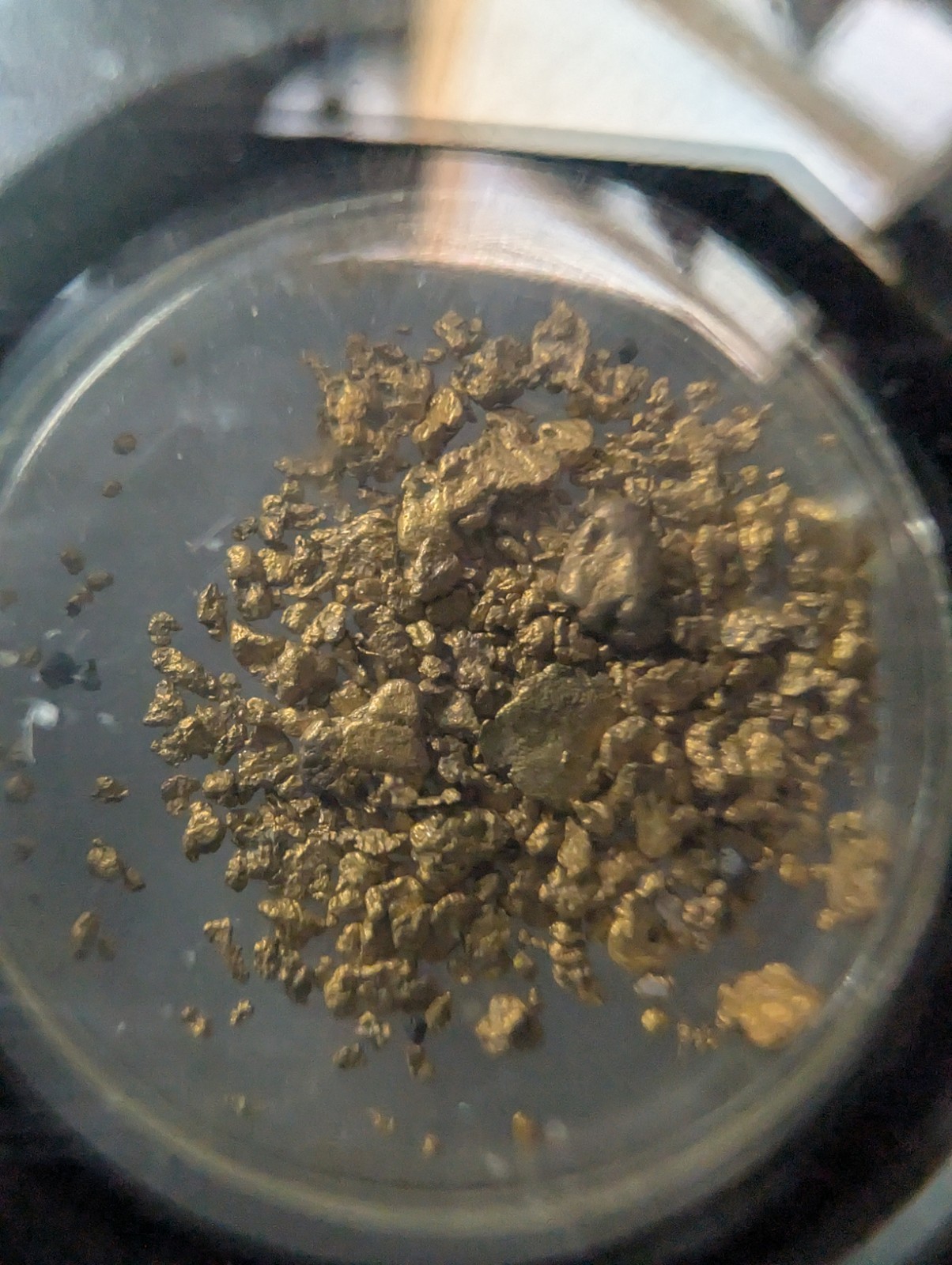 VaultBox SS Central America Gold Dust .880 Fine Gold 1.20g Encapsulated NGC