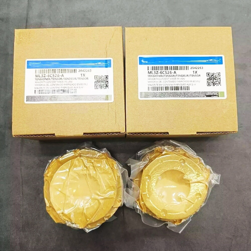 NEW Timing Chain Kit For 17-24 Ford F150 3.5L Ecoboost HL3Z6268A HL3Z6B274A