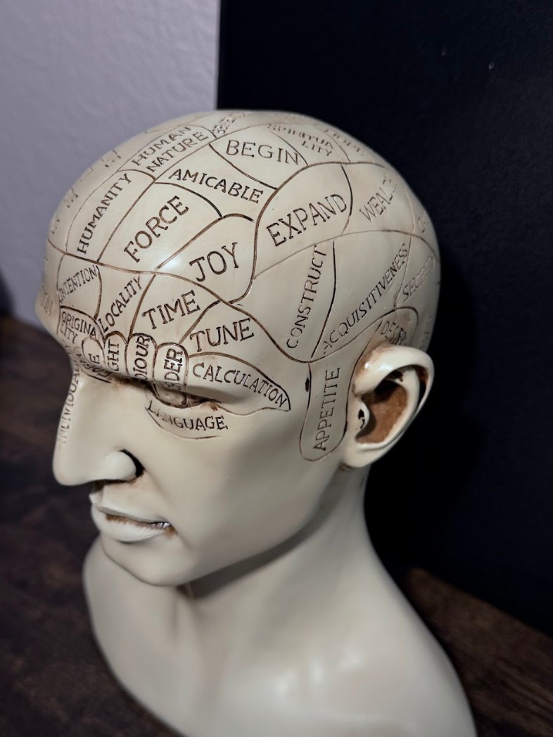 L.N. Fowler Phrenology Head Bust Ceramic Statue Medical History Decor Psychology