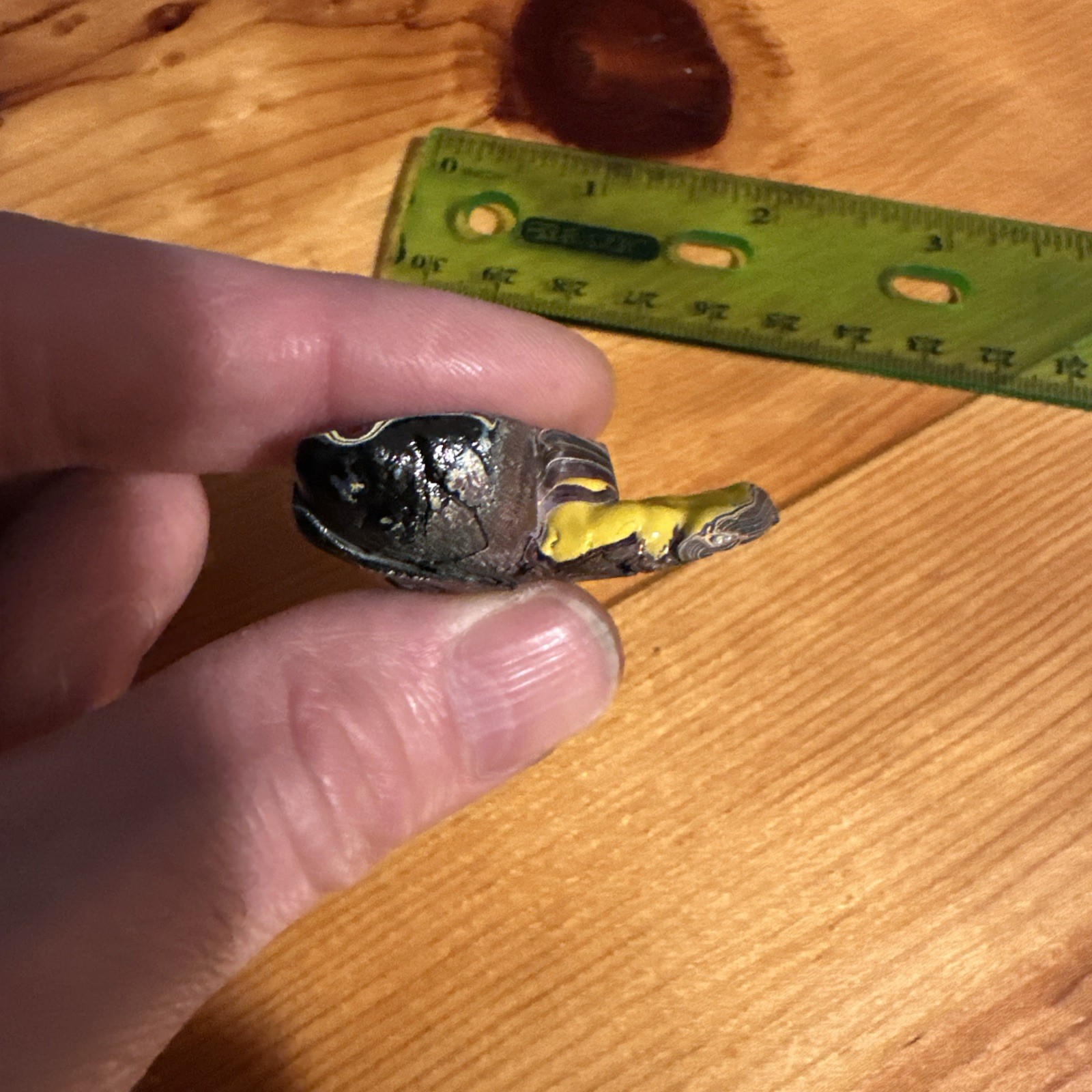 Corvette Fordite specimen from Bowlinggreen Kentucky early 2000s