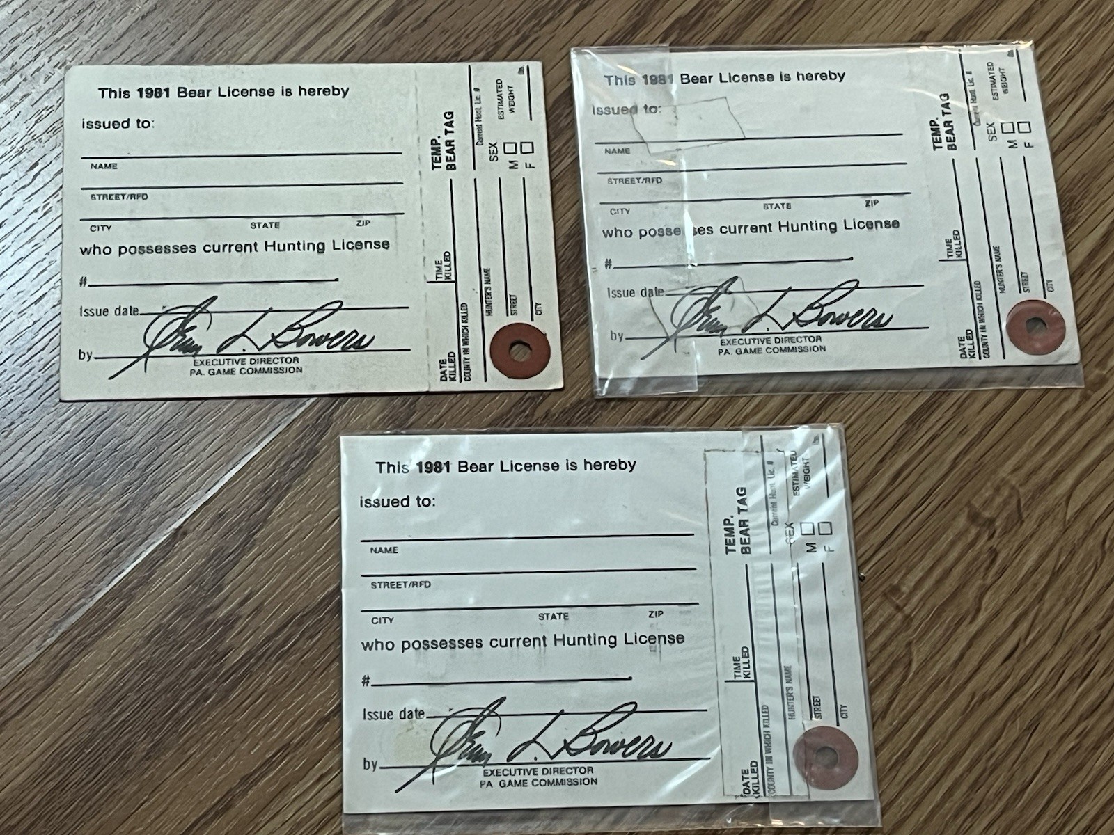 1981 PENNSYLVANIA RESIDENT BEAR LICENSE LOT OF 3