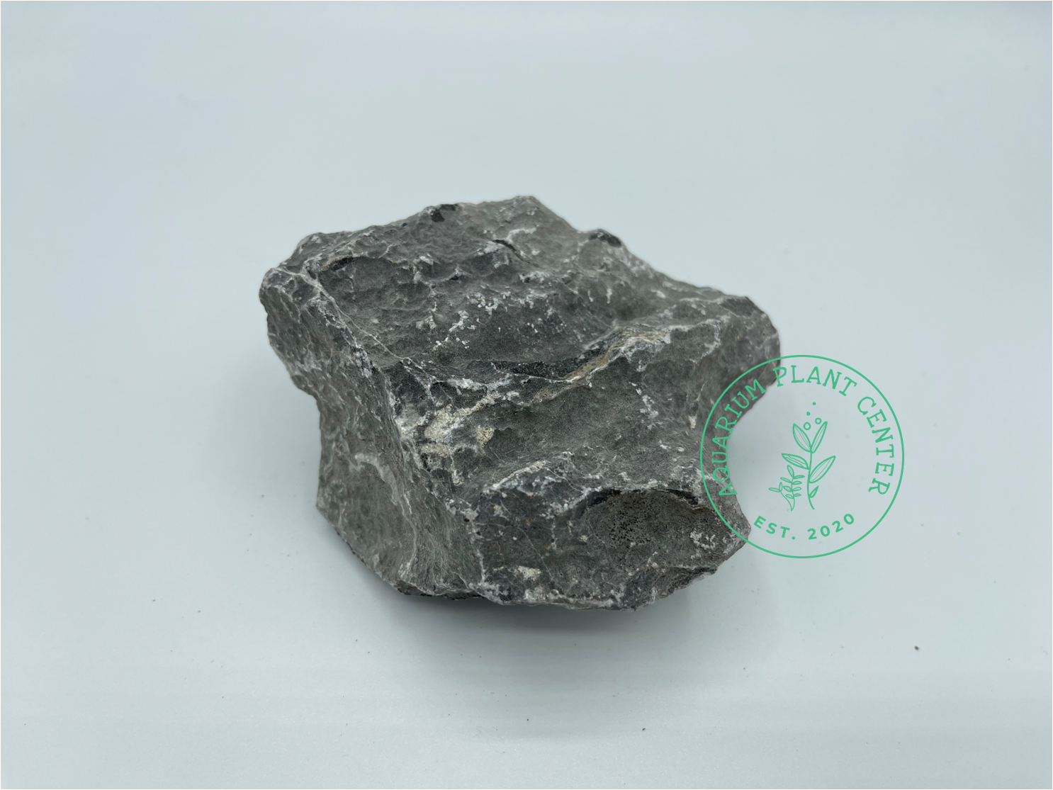 Seiryu Stone / Planted Aquarium / Decoration / Hardscape / Aquarium