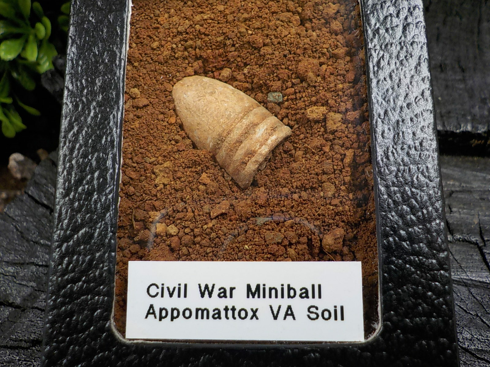 Old Rare Vintage Civil War Miniball in Appomattox Virginia Confederate Camp Soil