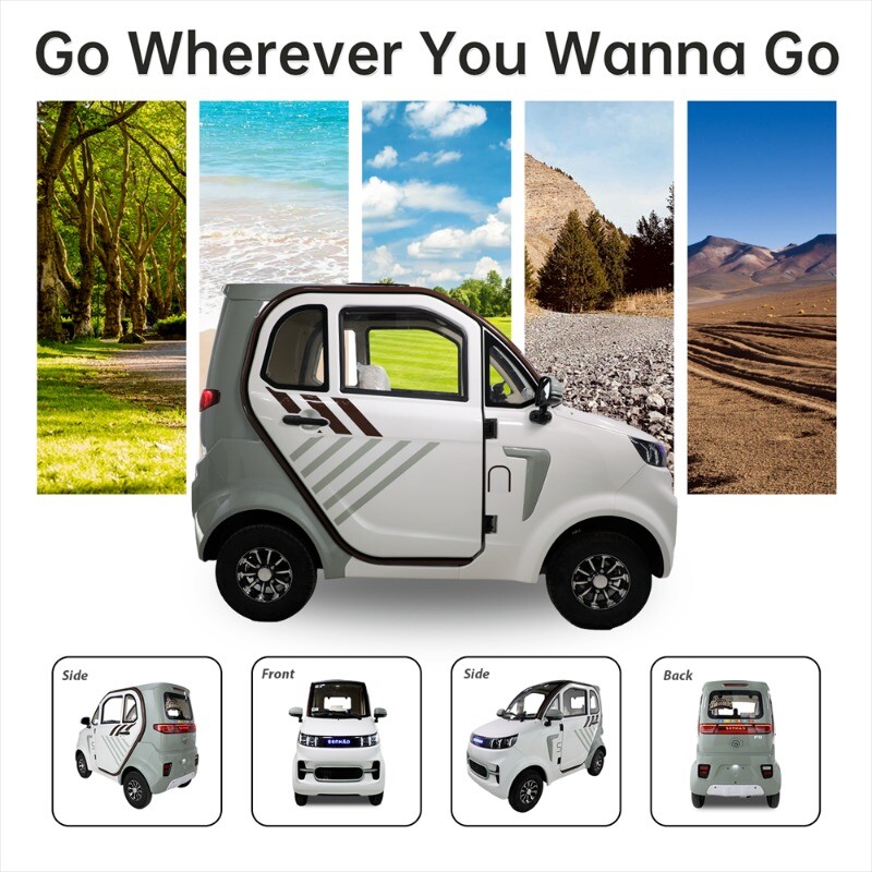 1500W 4 Wheel Fully Enclosed Mobility Scooter Car 3-Speed 40 mile 660lb Capatity