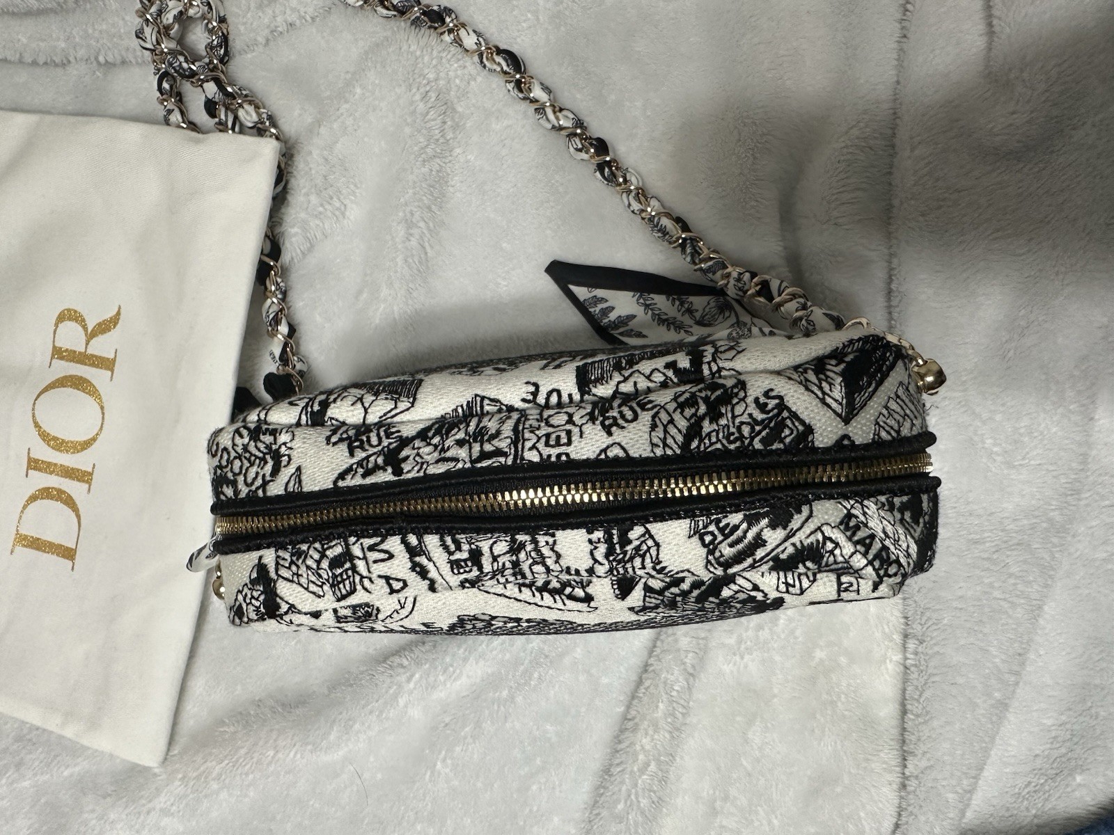 NWT Christian Dior Plan De Paris Canvas Embroidered Cosmetic Bag VIP GWP- BOX