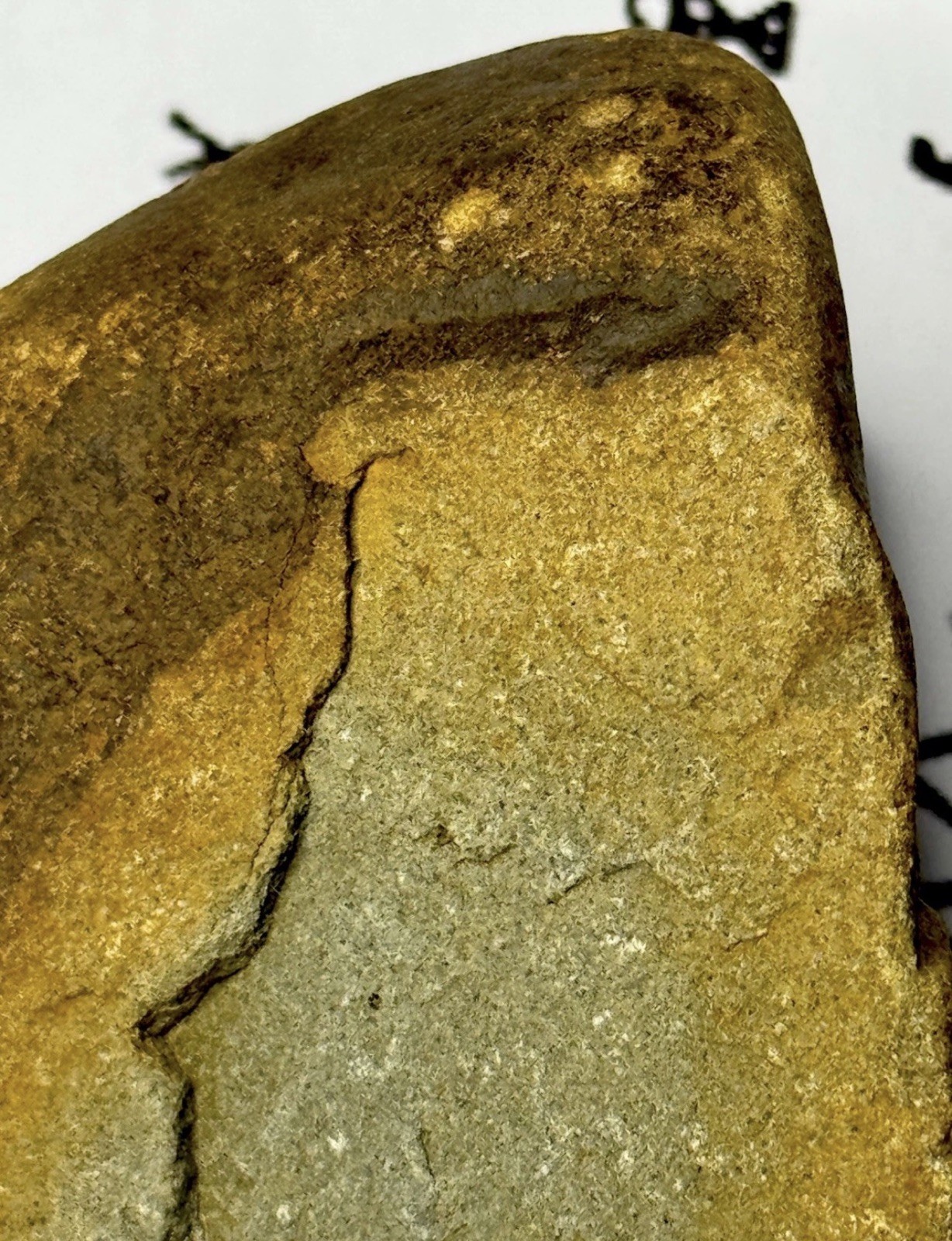 Native American Indian Authentic Artifact Stone Carved Effigy, 2 lb 12 oz • VA