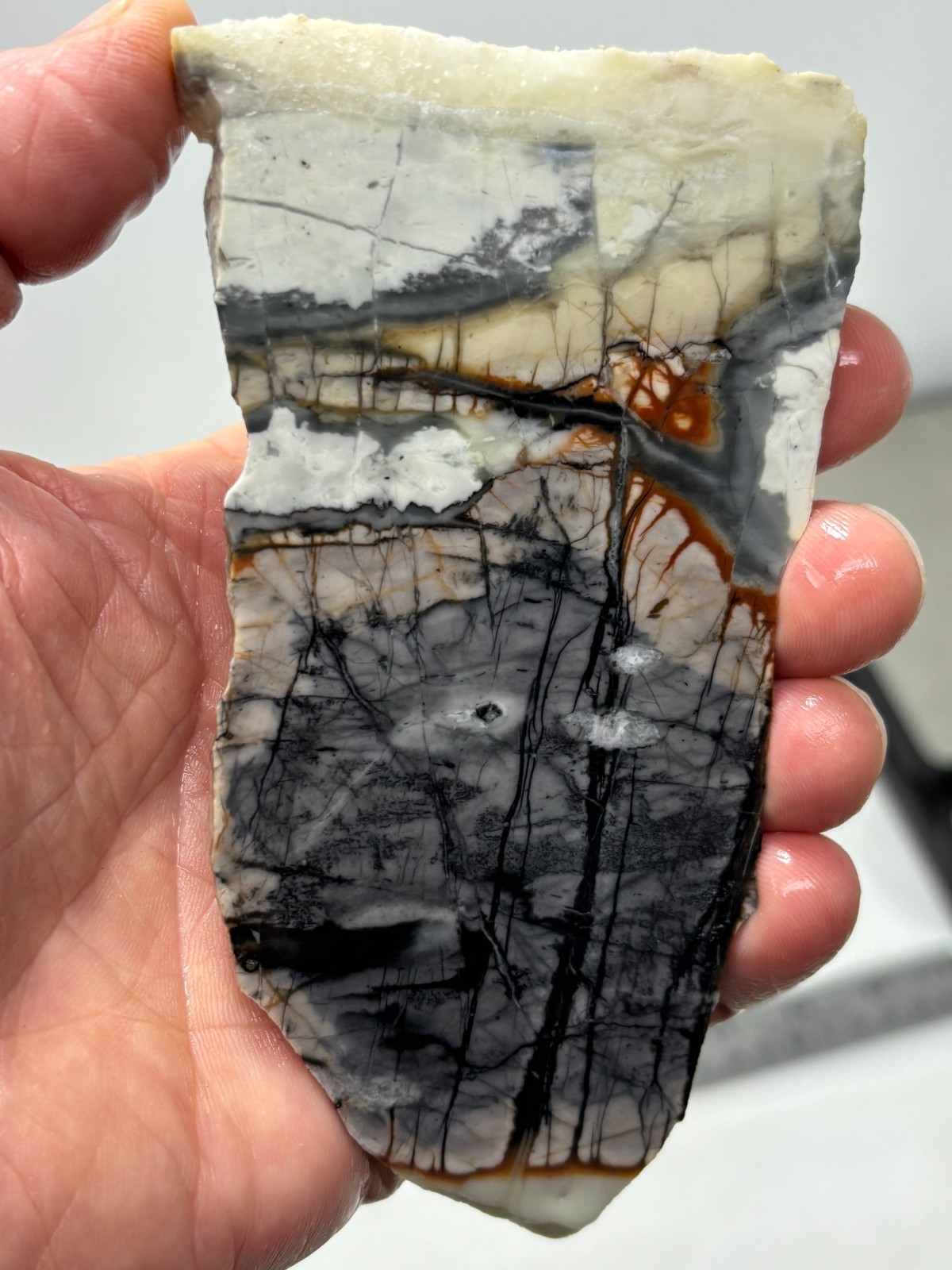 Picasso Marble (Jasper) end Slab Cabbing Lapidary Utah Combo Ship Avail