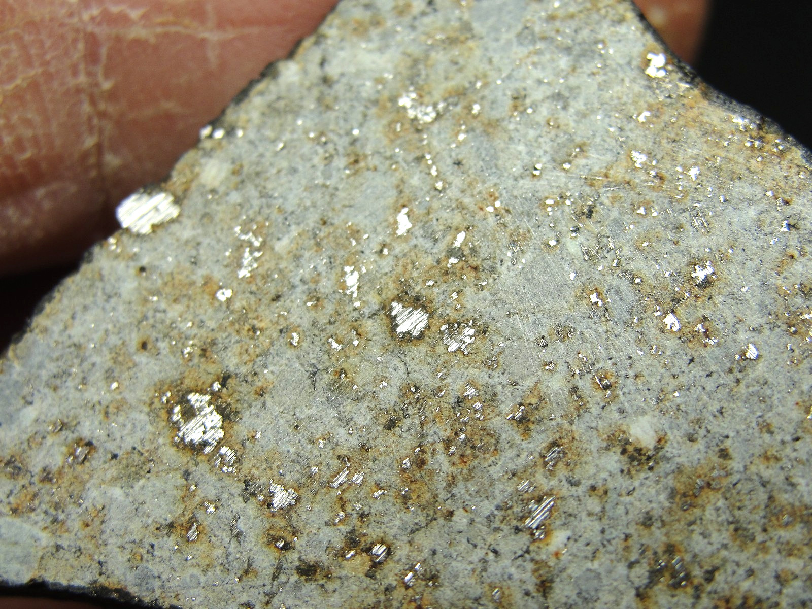 Ghadamis - HAH-346 - Libya 2019 - GAD-0384 - 13.49g - COA - Fusion Crust End Cut