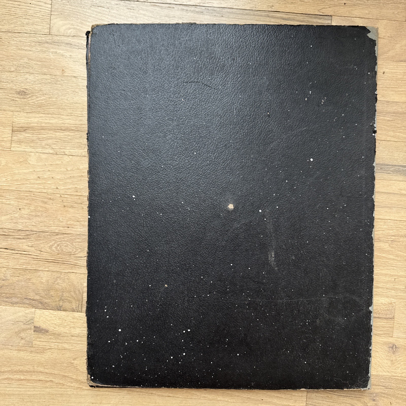 Bodyscope by Ralph H. Segal Human Anatomy Medical Chart and Case 1948 Flaws