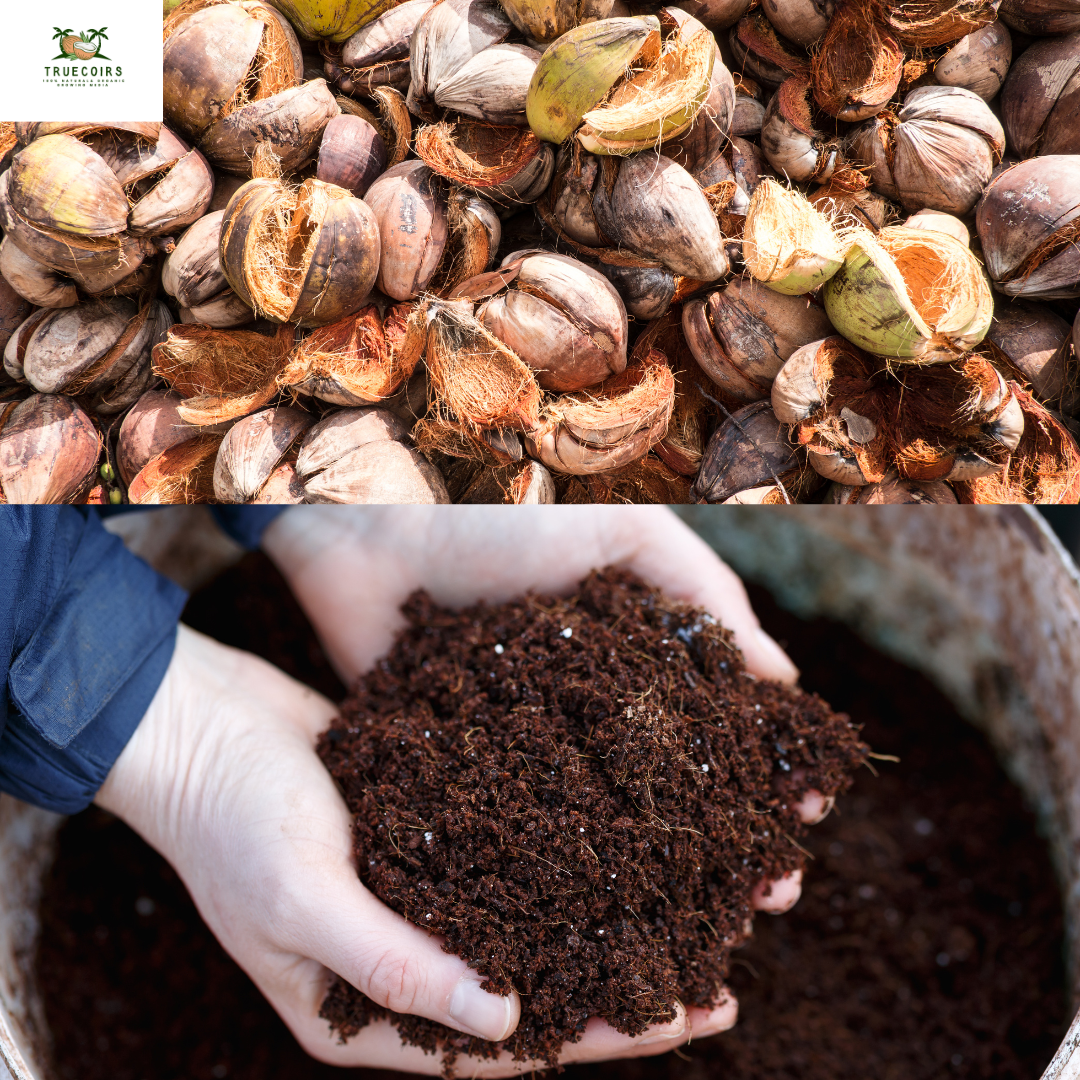 10LB/1.4LB CocoCoir Brick Coconut Fiber Potting Soil Plant Organic Growing Media