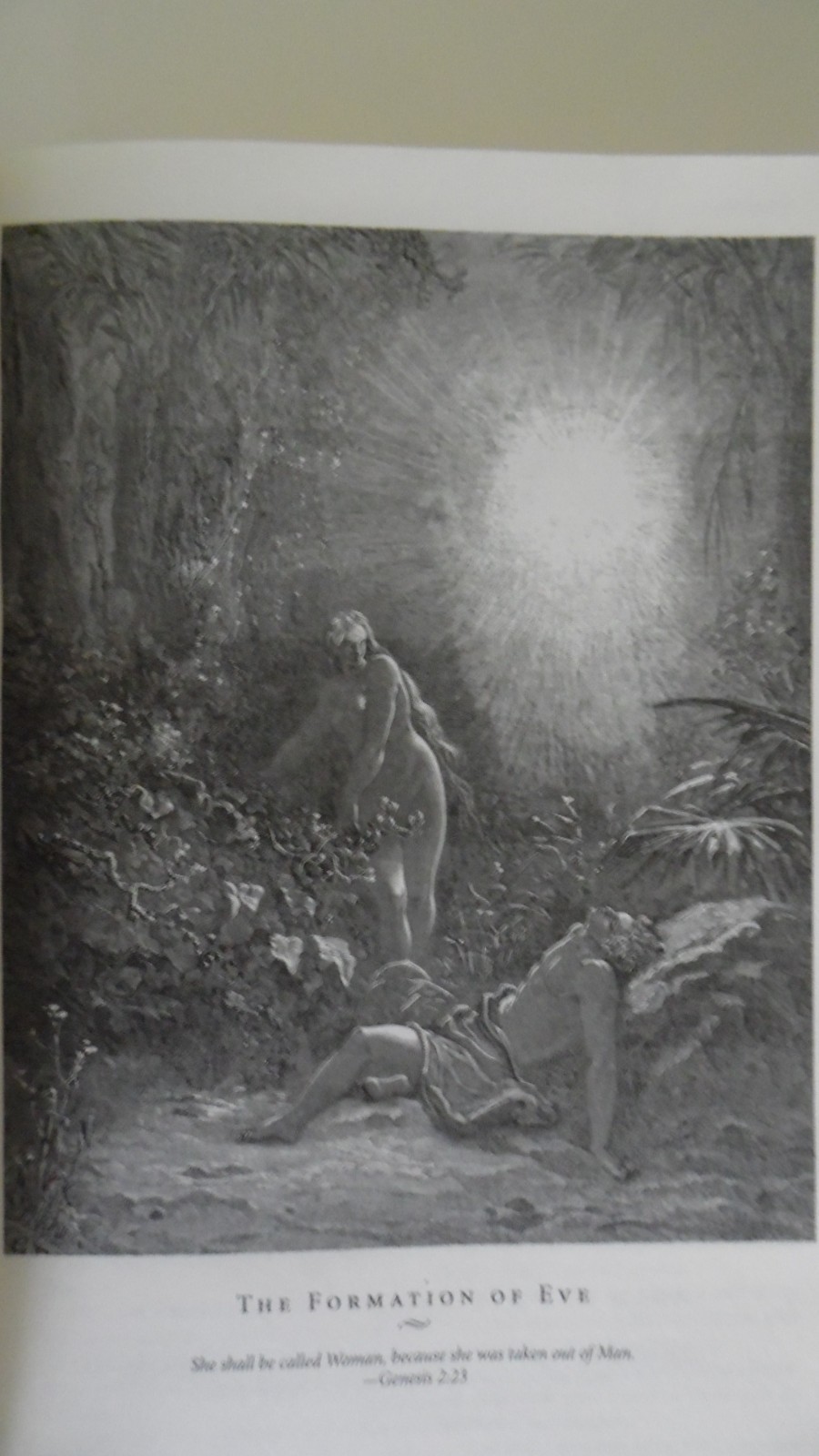 The Holy Bible King James Version Gustave Dore Illustrated Leather Bound NEW