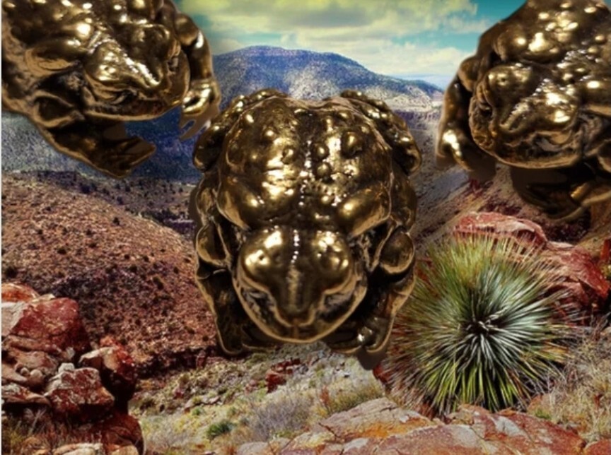 Bufo alvarius Sonoran Desert Toad Alter Piece ~ brass/small BUFO MEDICINE