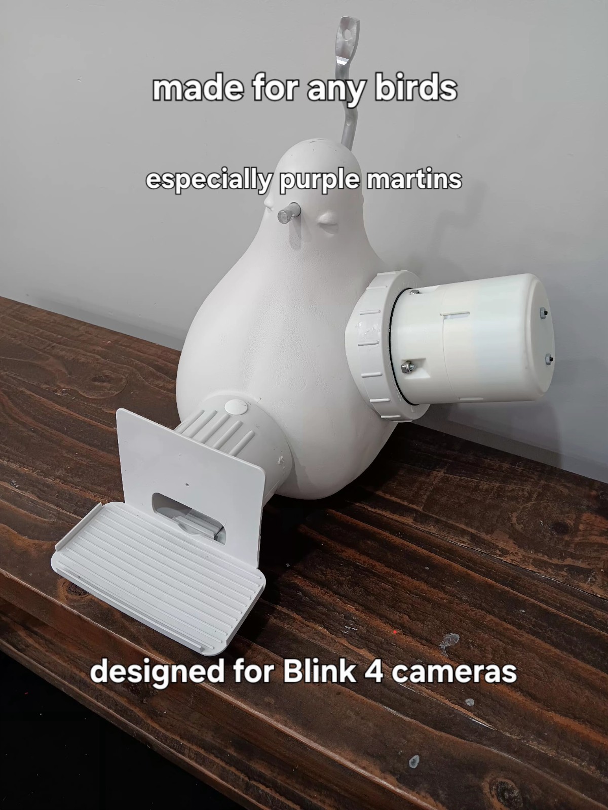 Birdhouse Camera Blink 2k and Blink 4-Designed For Purple Martin Gourds