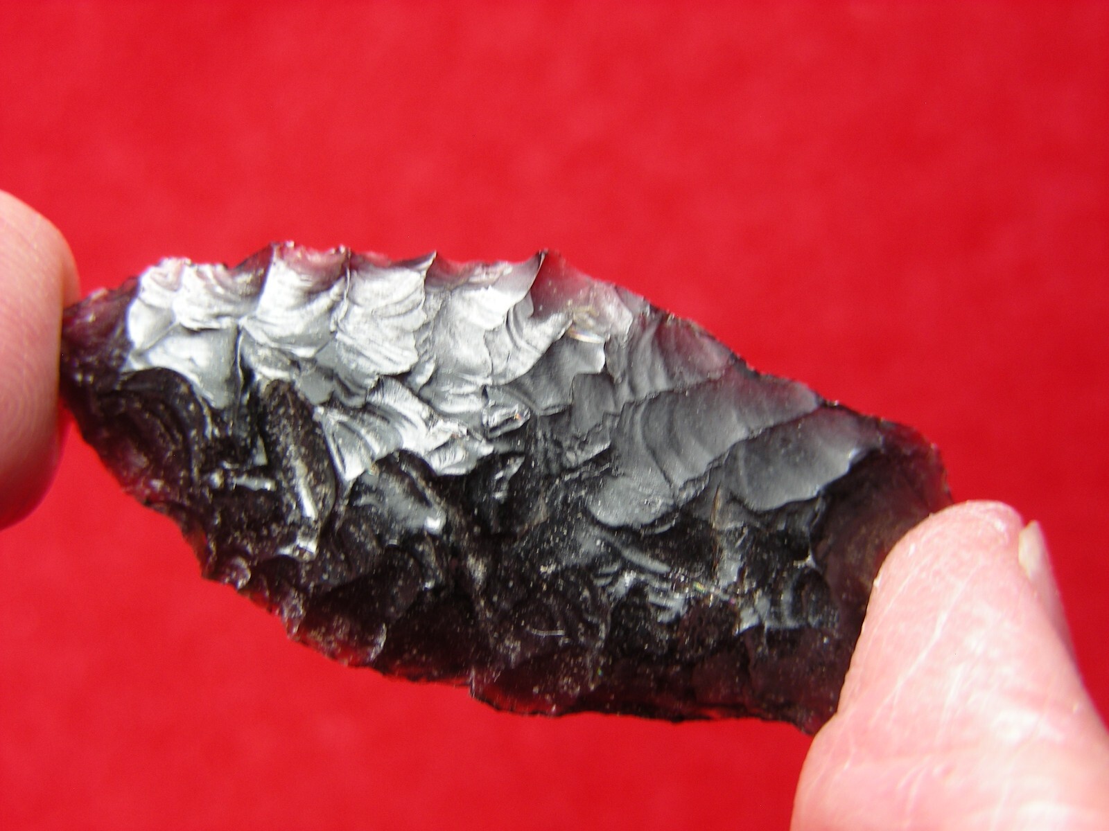 HUMBOLDT 1-1/2" CALIFORNIA Authentic Indian Relics