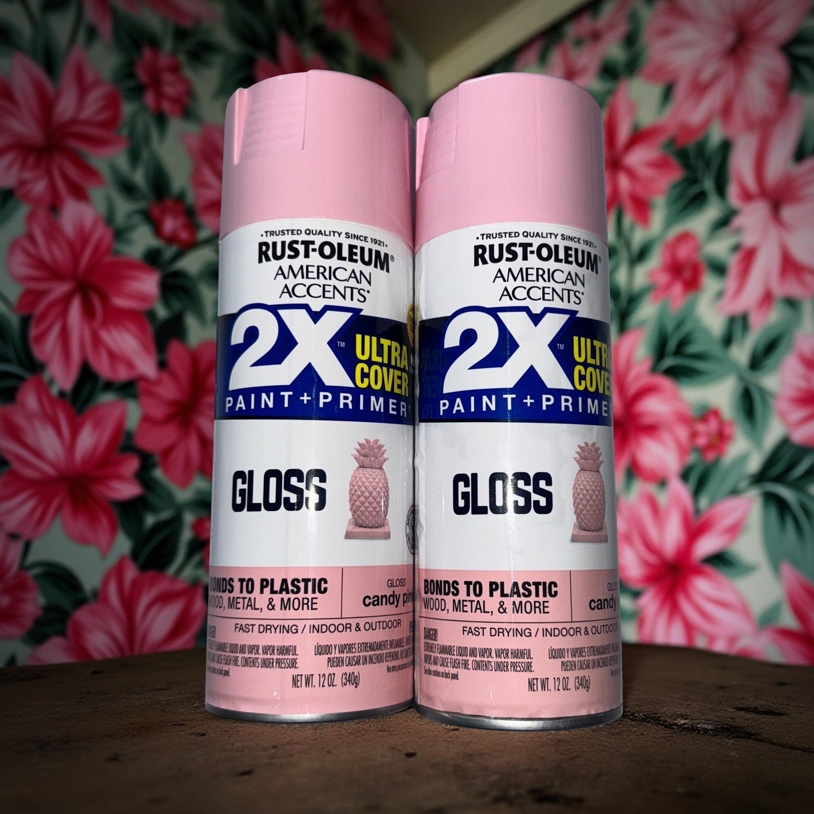 2 Cans Rust-Oleum Candy Pink Spray Paint American Accents Gloss 12 oz Girly
