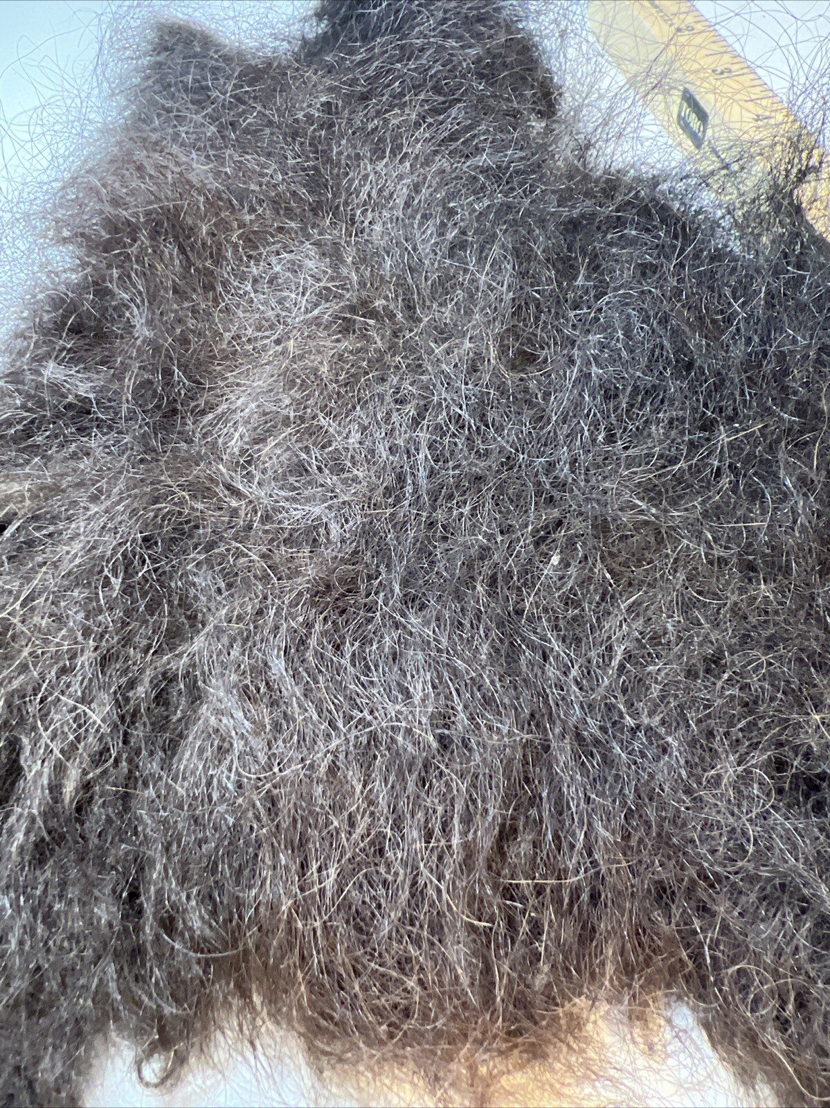 American Bison Buffalo Wool Section 1.6 Ounce