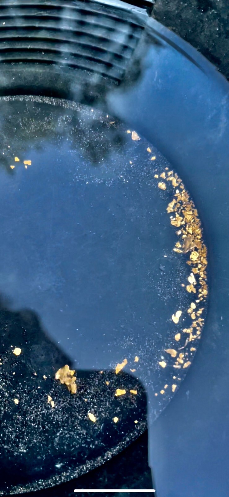 Yuba River Gold Unsearched Paydirt Plus Added Gold Straight from the River rich