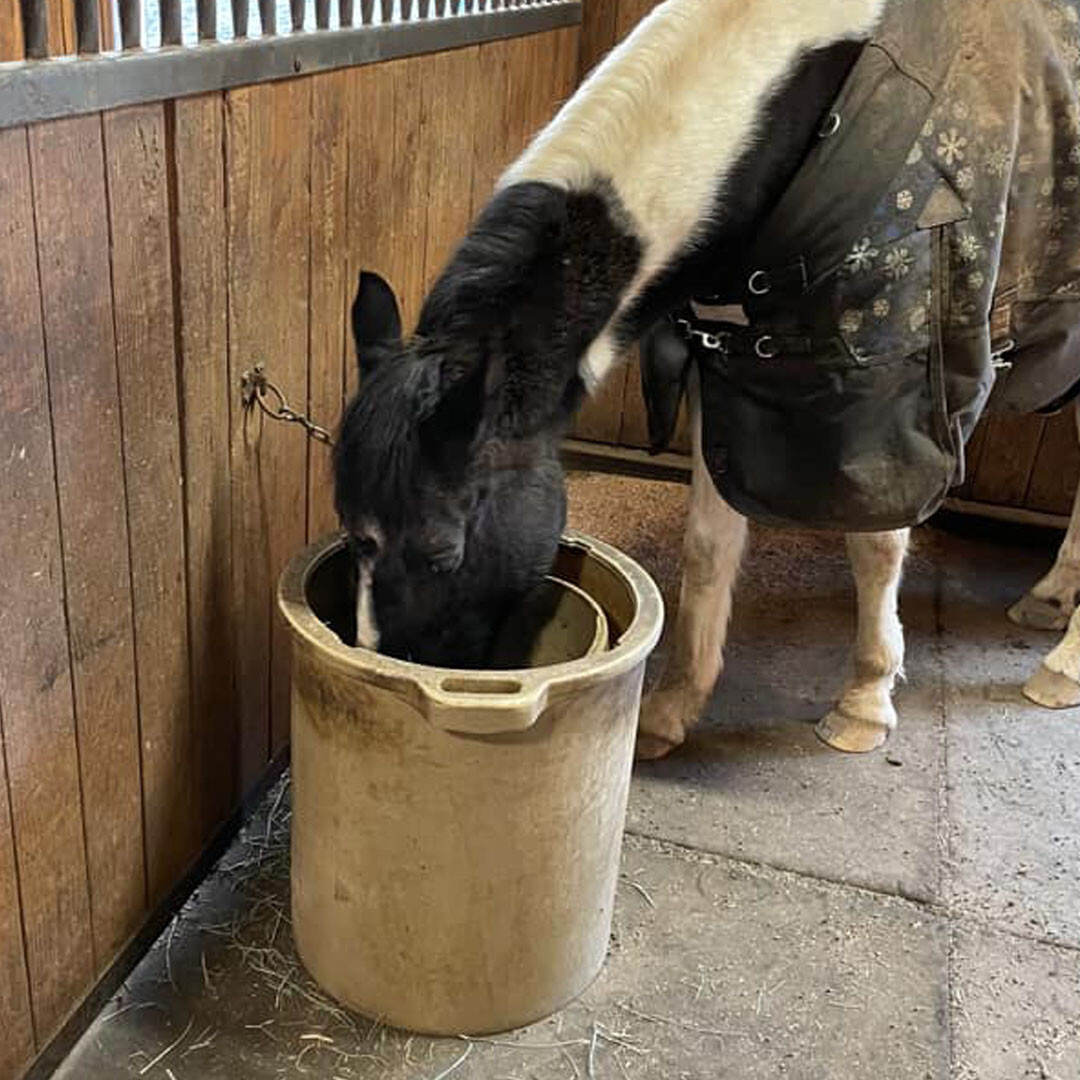 Porta-Grazer- Slow Hay Feeder XL Model