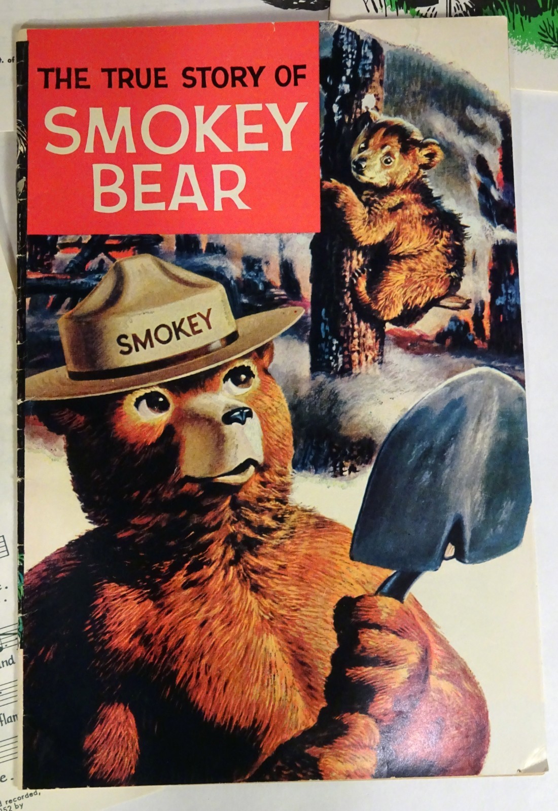Vintage 1971 SMOKEY BEAR-Teacher's FOREST FIRE Prevention & Conservation Kit