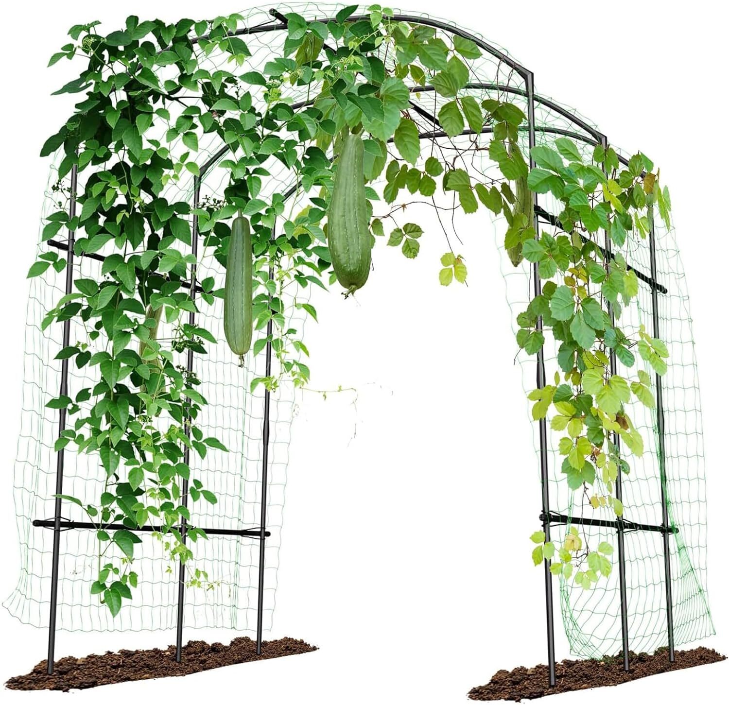 Garden Arch Trellis for Climbing Plants Plant Garden Archway Arch Tunnel Trellis