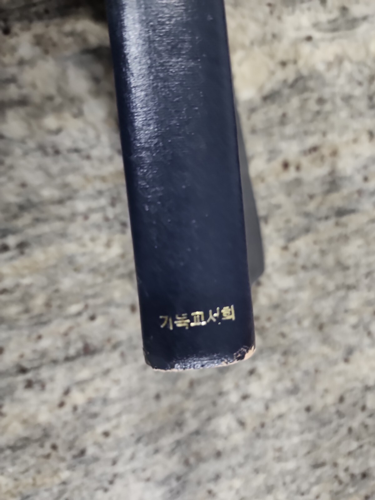 Vintage Asian Hymnal Book. Daily Bread Daily Devotion