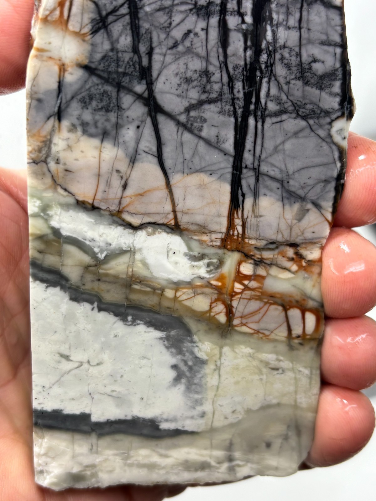 Picasso Marble (Jasper) end Slab Cabbing Lapidary Utah Combo Ship Avail