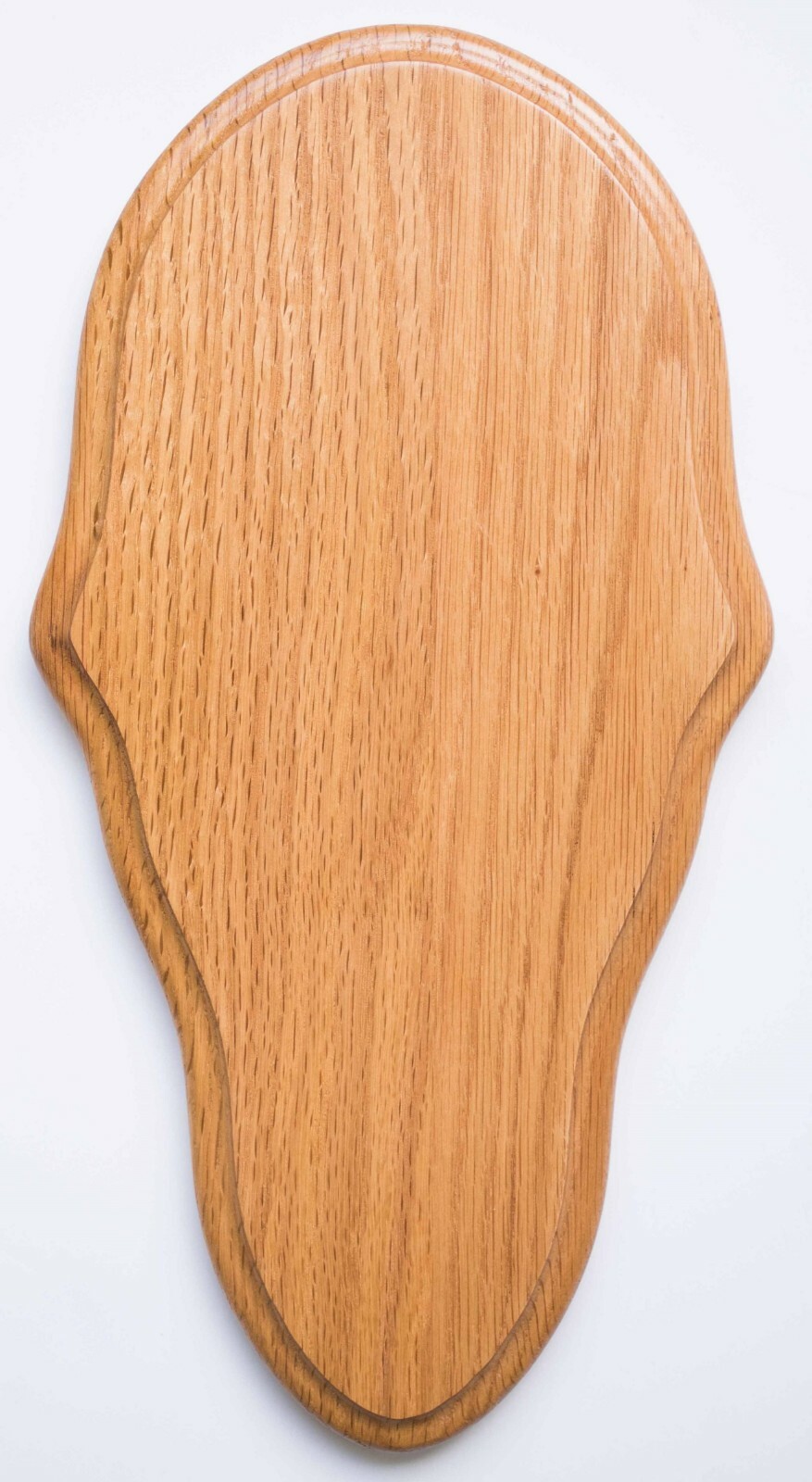 Medium Oak Deer European Skull Mount Plaque